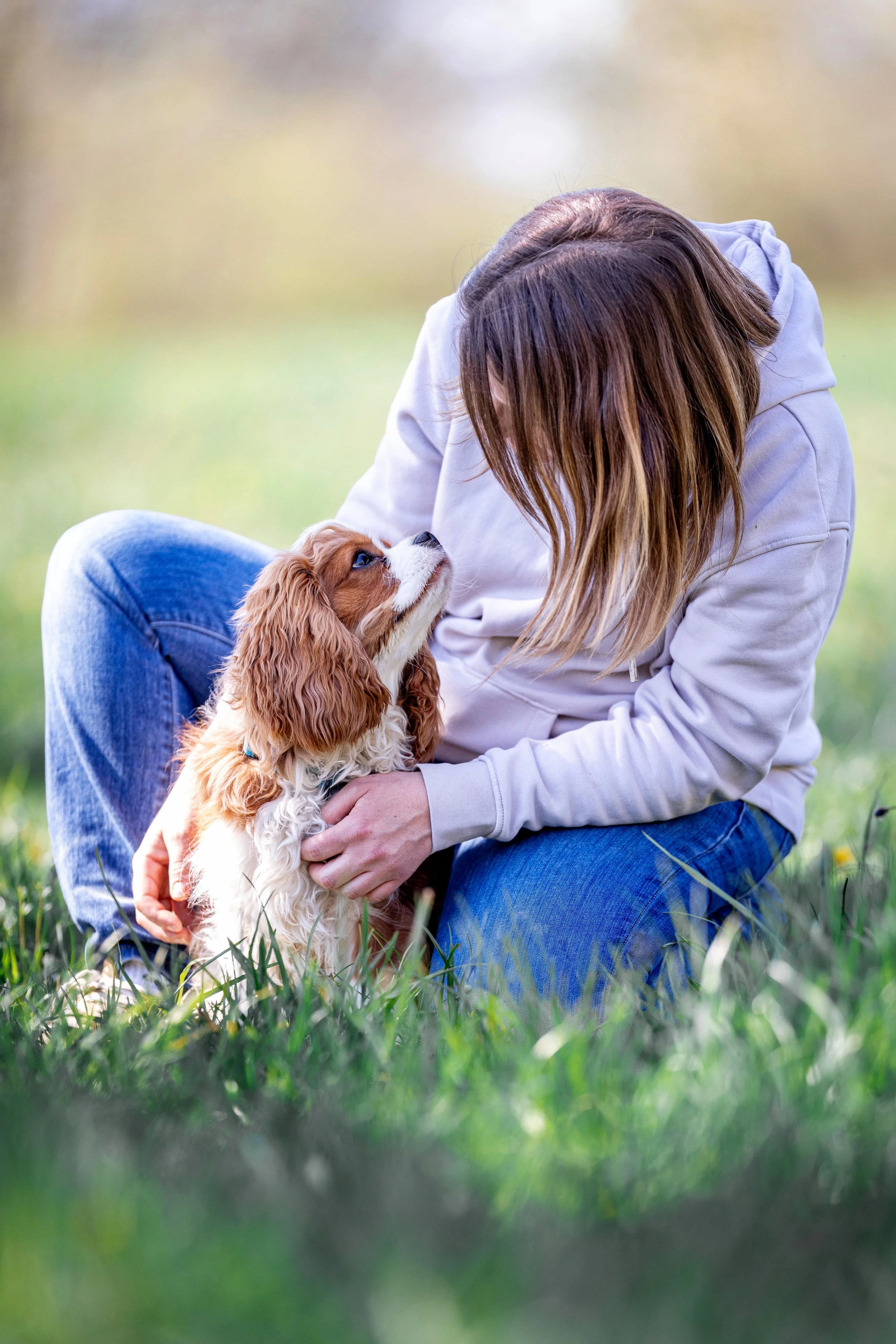 Adoption chien refuge