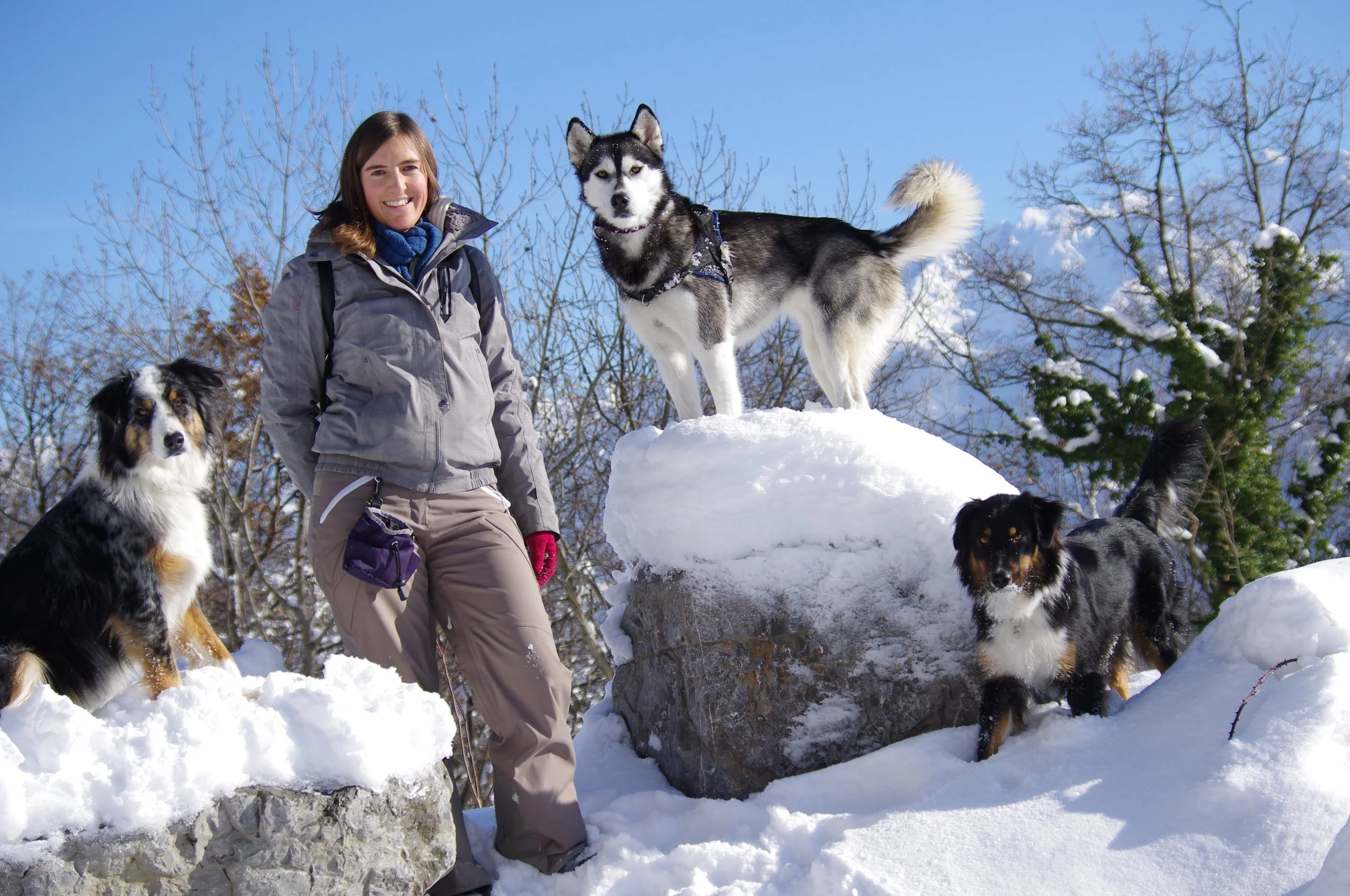 méthodes positives chien
