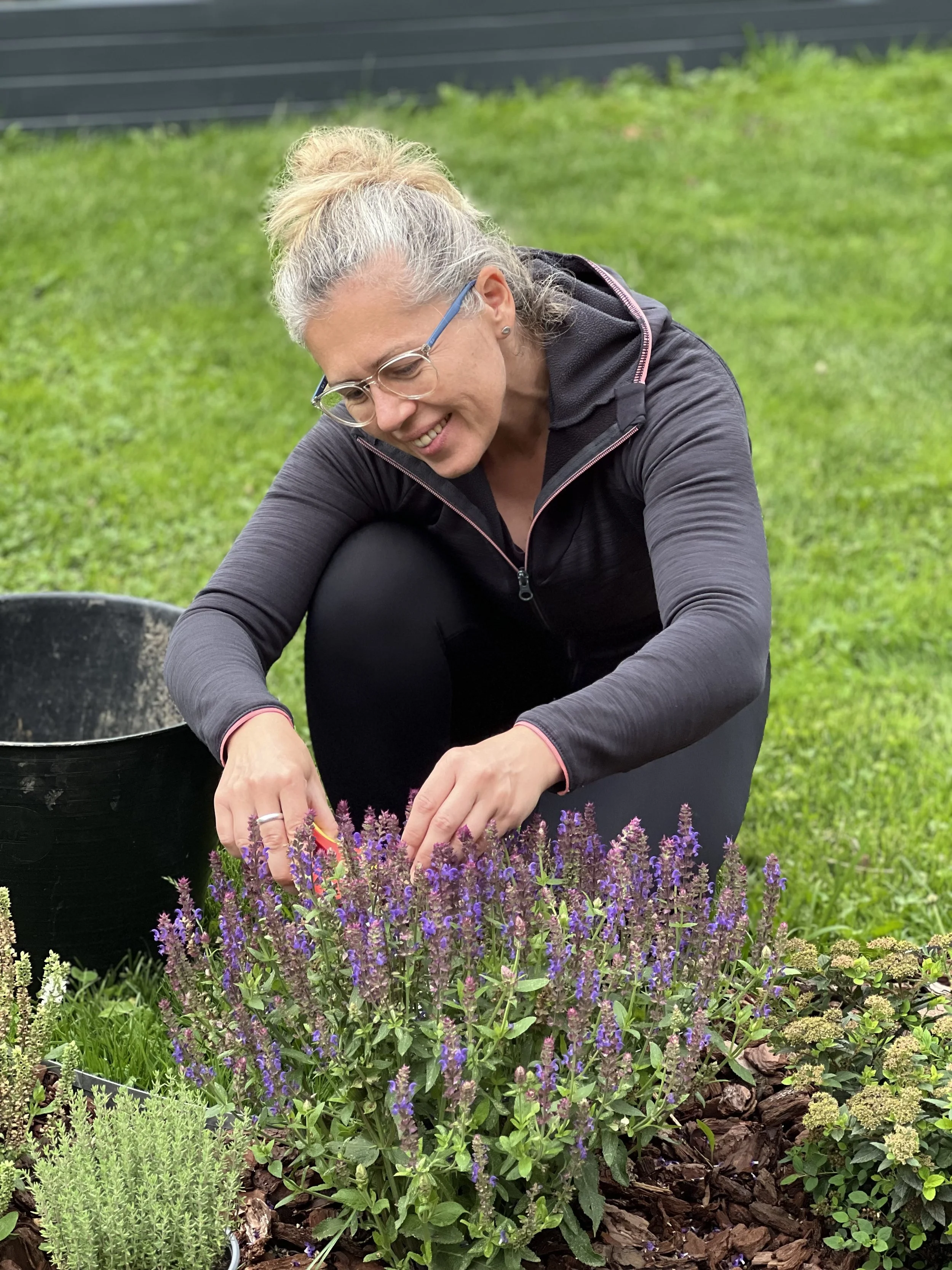 Frau schneidet Salbei zurück, Gärtnern, Schweizer Garten, hit the garden, Viktoria Garten, Garten Beratungen, Salbei zurückschneiden, Ziergarten, Gartenbeet, Blumen
