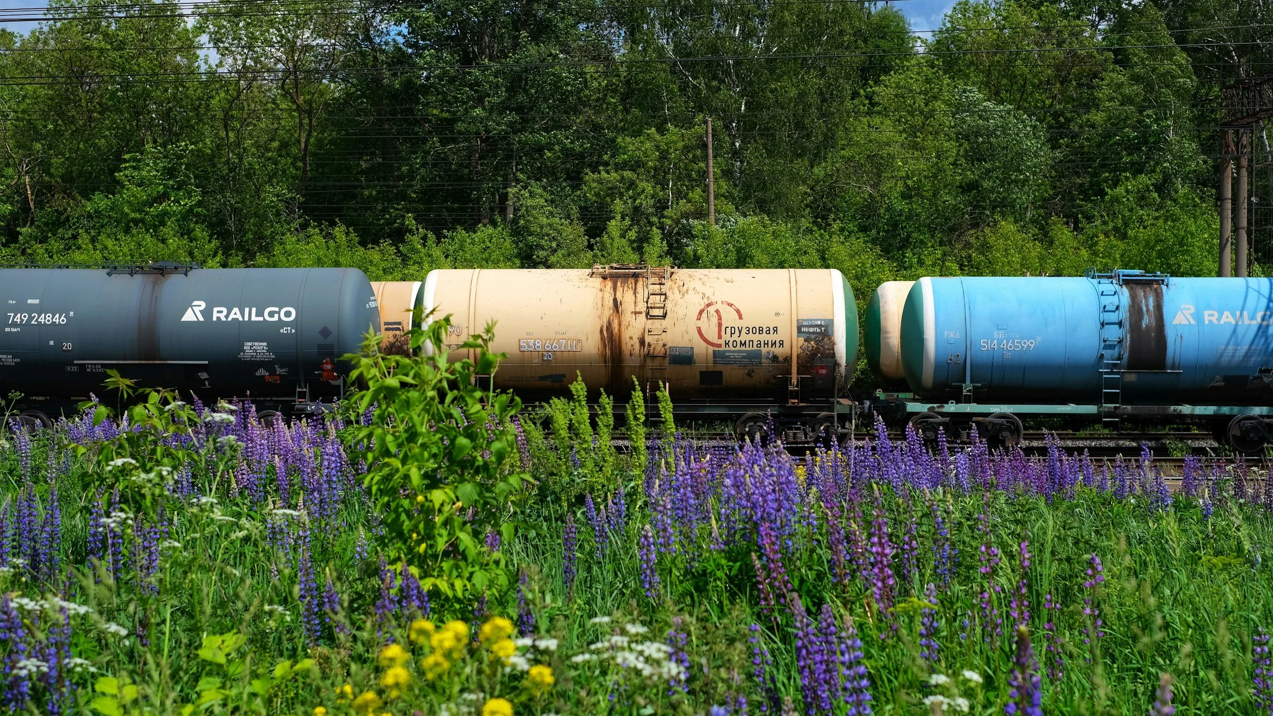 train through biofiltering wildflowers