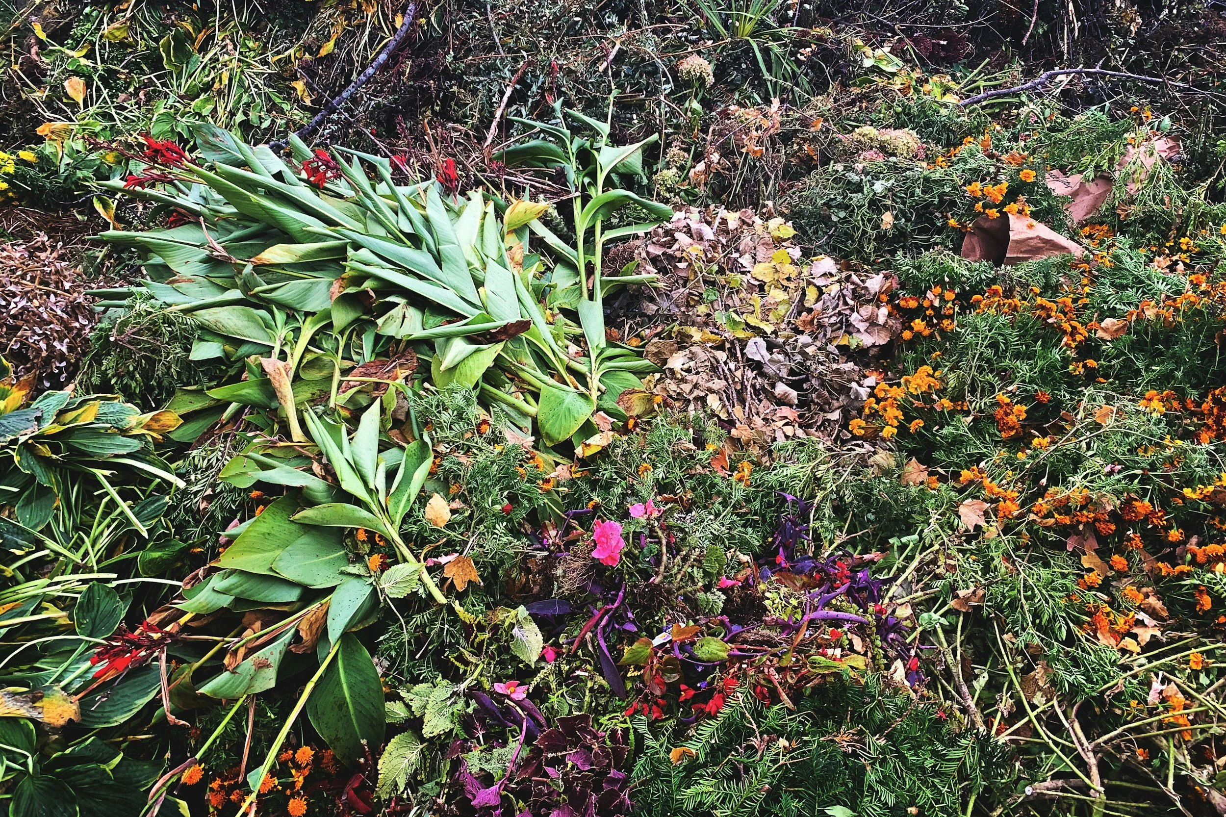 Yard waste can be collected and used in hügelkultur beds and disaster avoidance projects