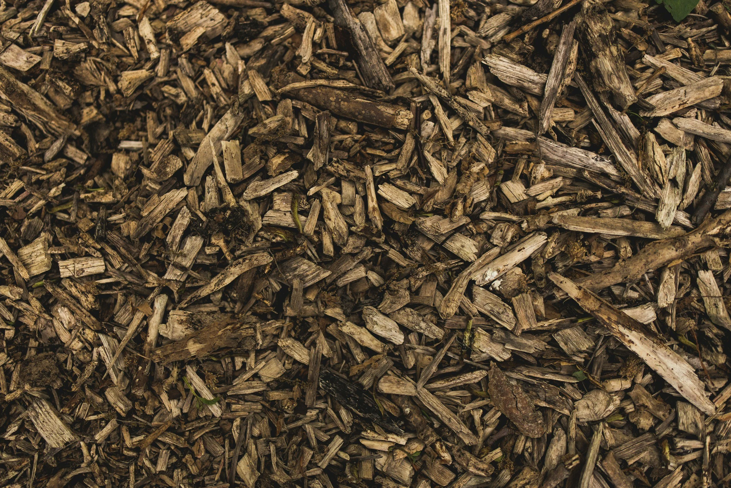 arborist wood chips can be used in so many ways, from hügelkultur beds to mulch and horse paths or mushroom substrate