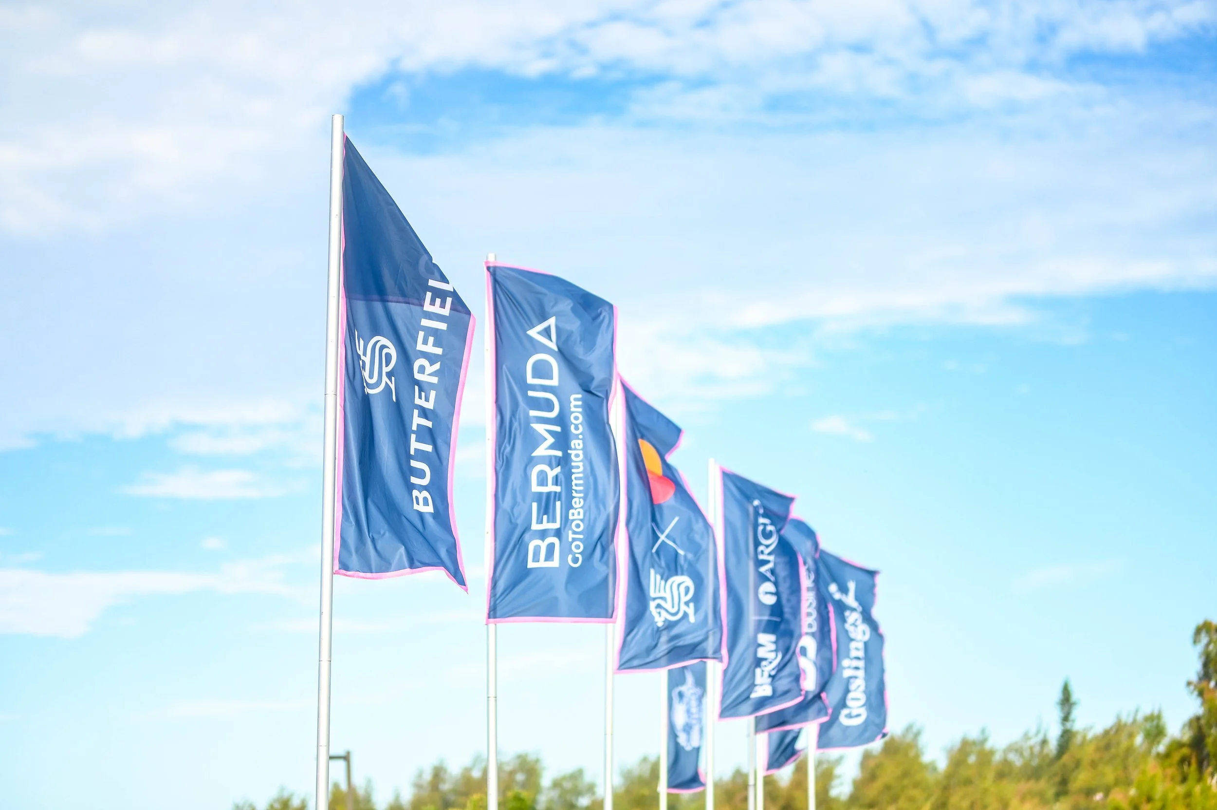 Multiple blue flags on poles blowing in the wind against a bright sky with scattered clouds.