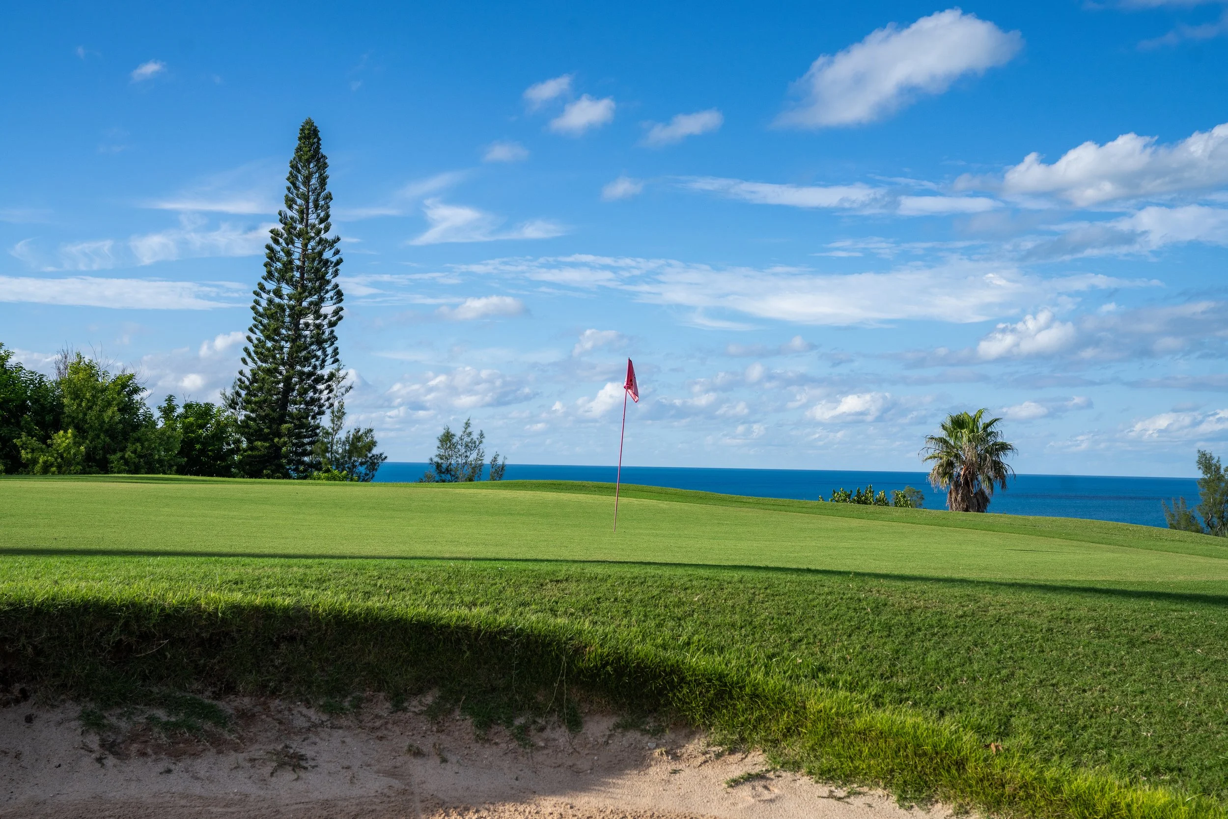 A coastal golf course with green grass, a red flag on the putting green, tall trees including a pine and a palm, and a view of the ocean in the background under a partly cloudy blue sky.