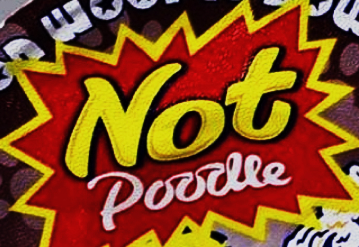 Pot Noodle Not Poodle