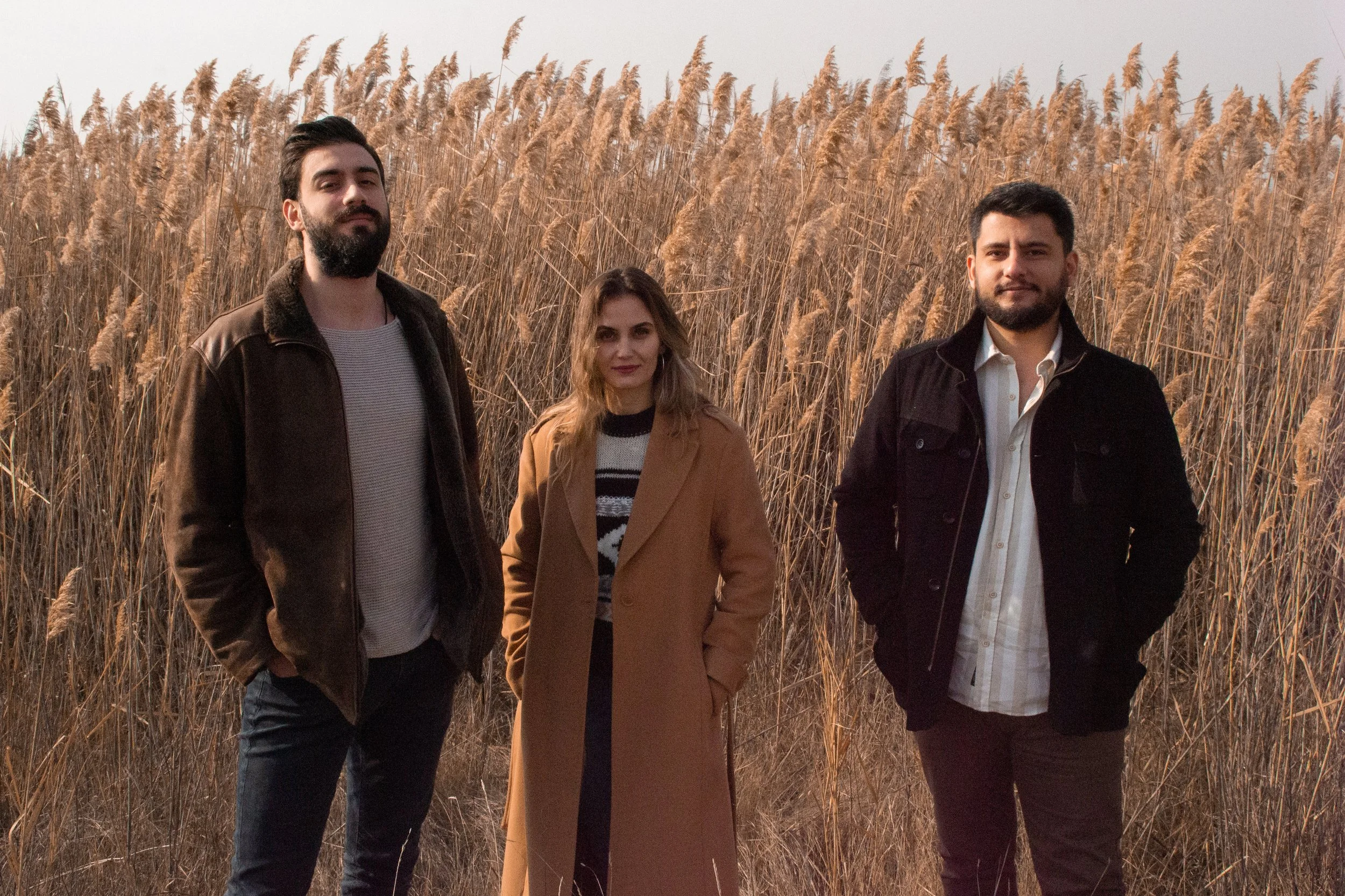 Telli Sazlar Üçlüsü