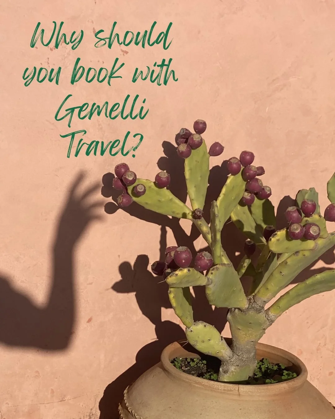A little refresher on why booking with Gemelli Travel is the way to go for your 2026 plans. You might think that having a travel agent is not within your budget or preference but our aim is to be fully accessible and as hands on/off as you need. Whet