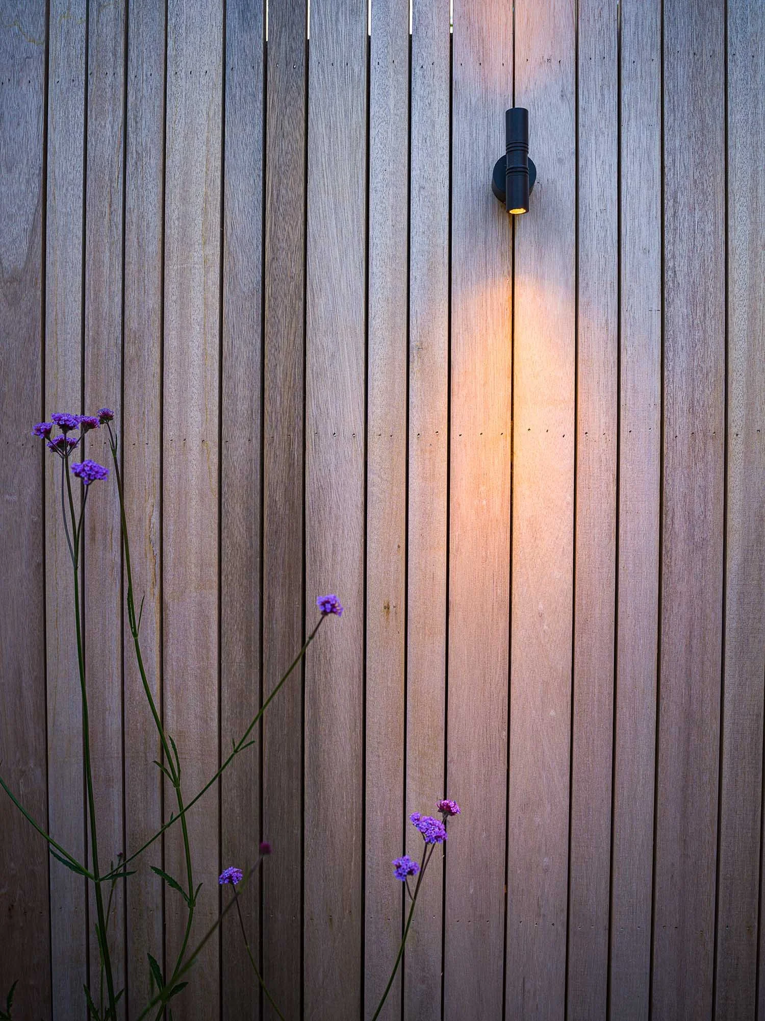 Detail of a light vertical timber fence with a black wall-mounted light casting a warm glow and purple flowers