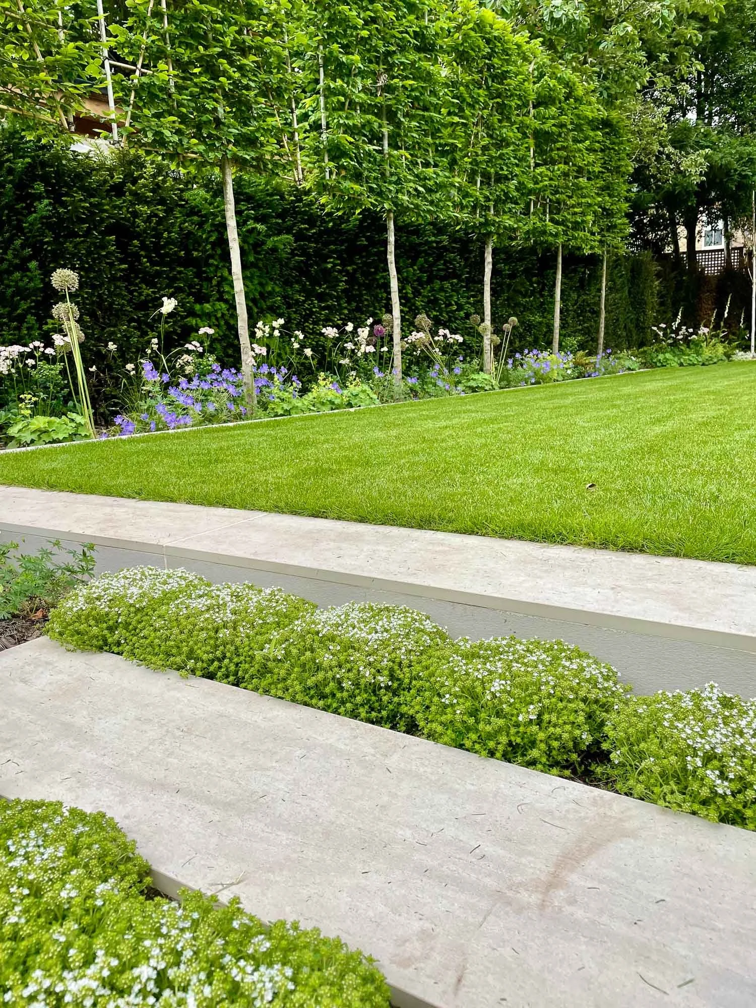 A garden with a pathway, green grass, and blooming flowers with trees and shrubs in the background.
