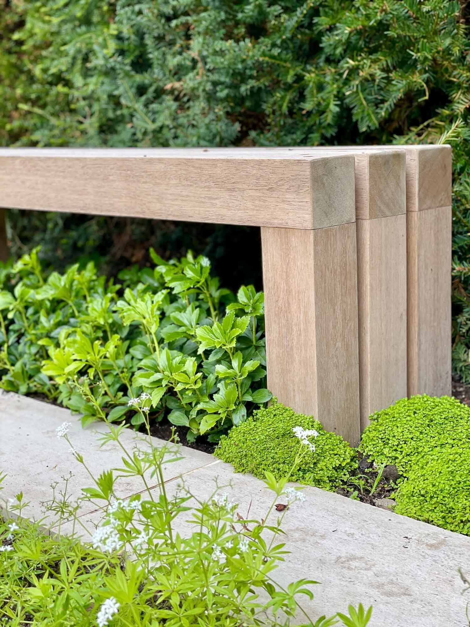 Close-up of a wooden garden bench and green plants with small white flowers.