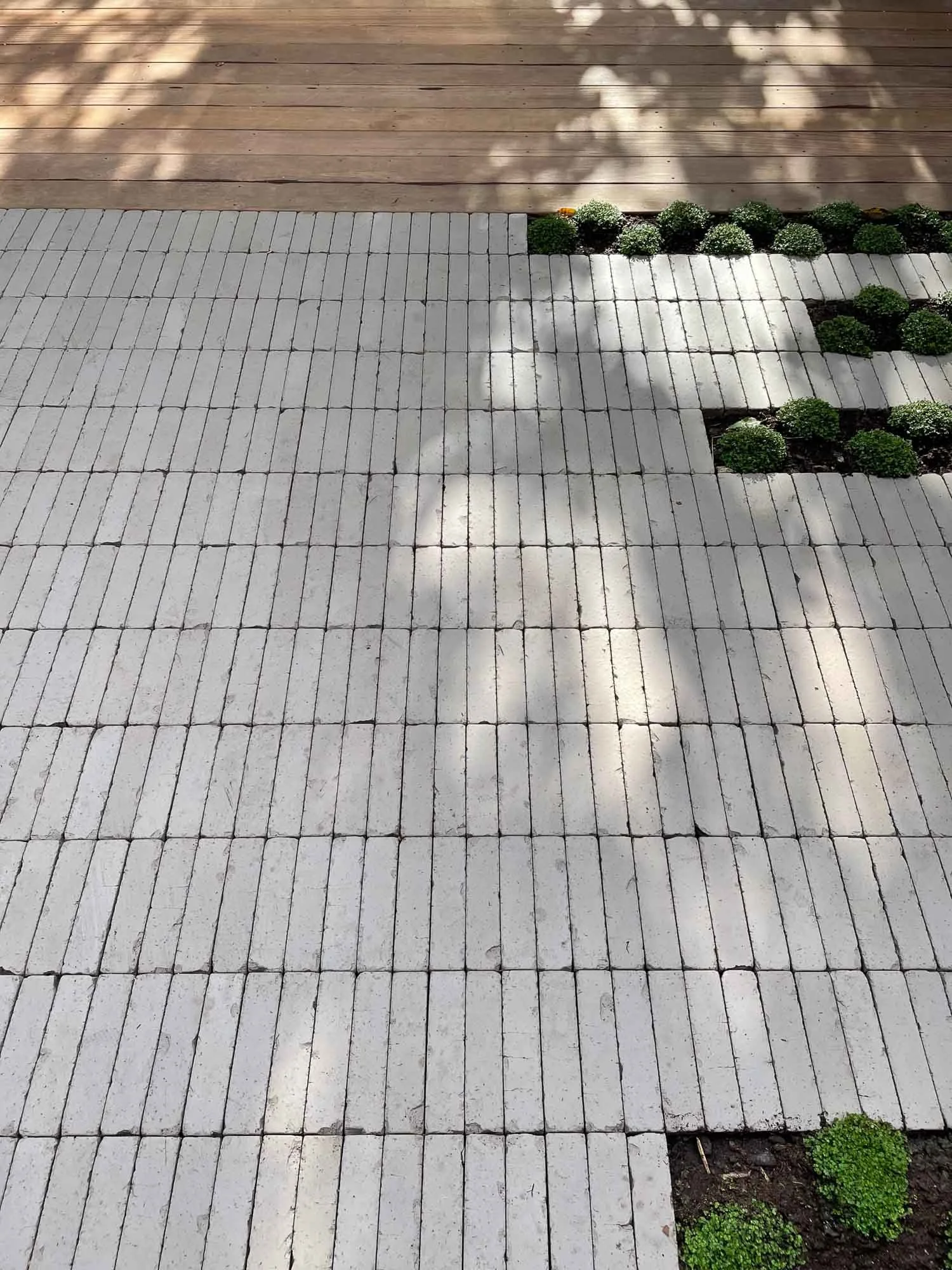 Concrete paver walkway with some sections missing, adjacent to a small garden bed with green plants, and a wooden deck at the top of the image.