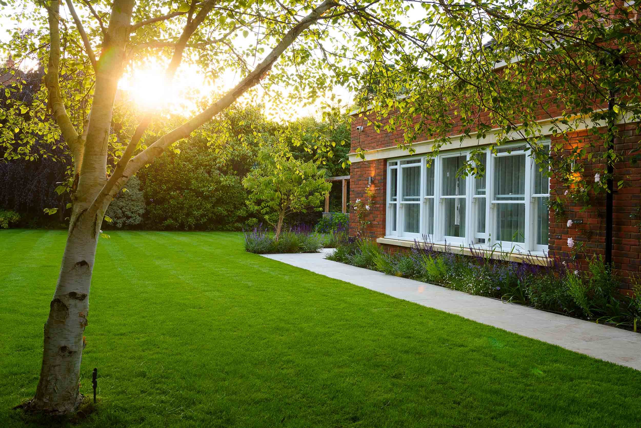 Large green lawn at sunset with a silver birch tree and stone path alongside a red brick house with white windows