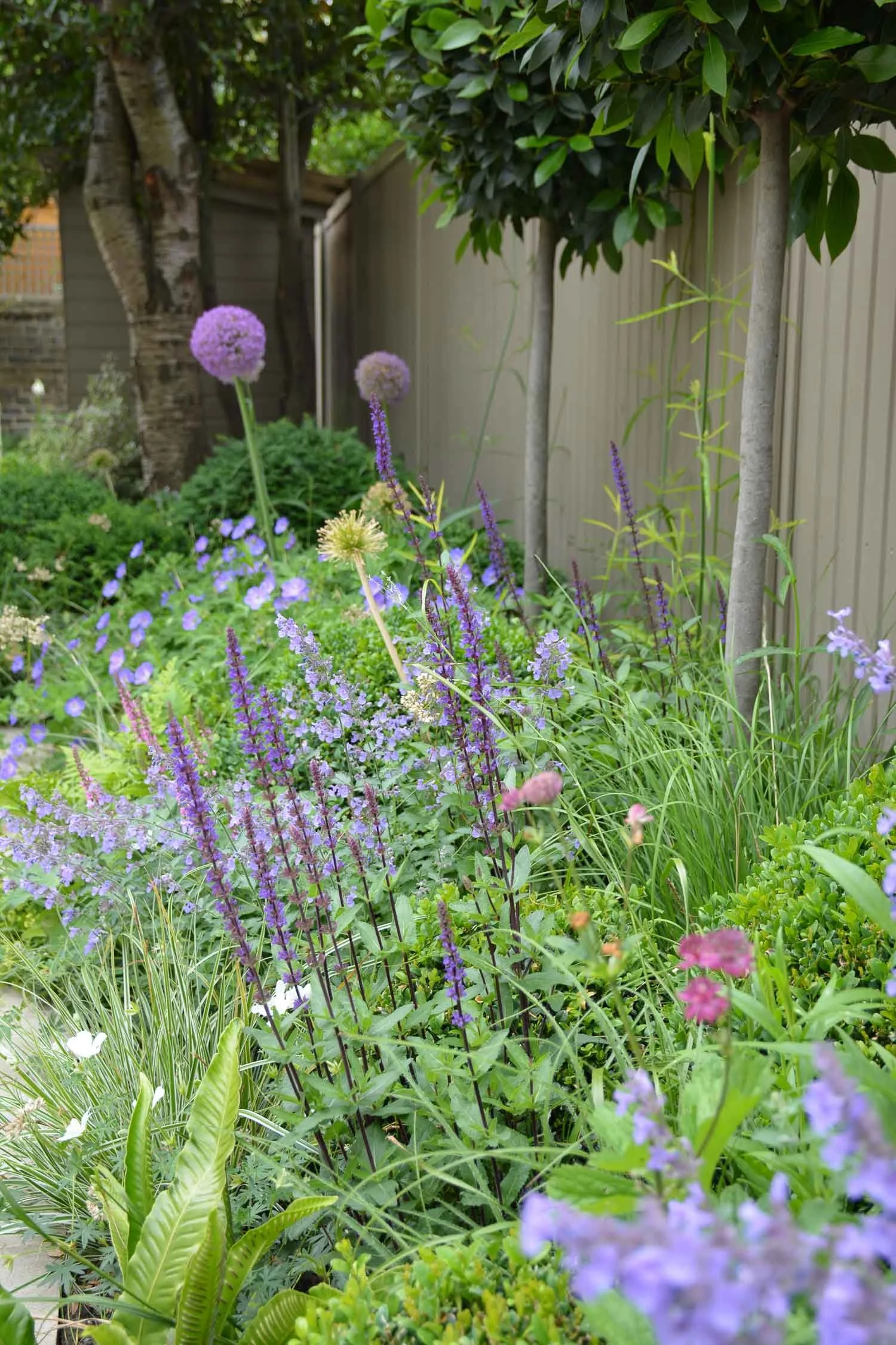 A lush garden with purple, pink, and green plants next to a wooden fence and trees.