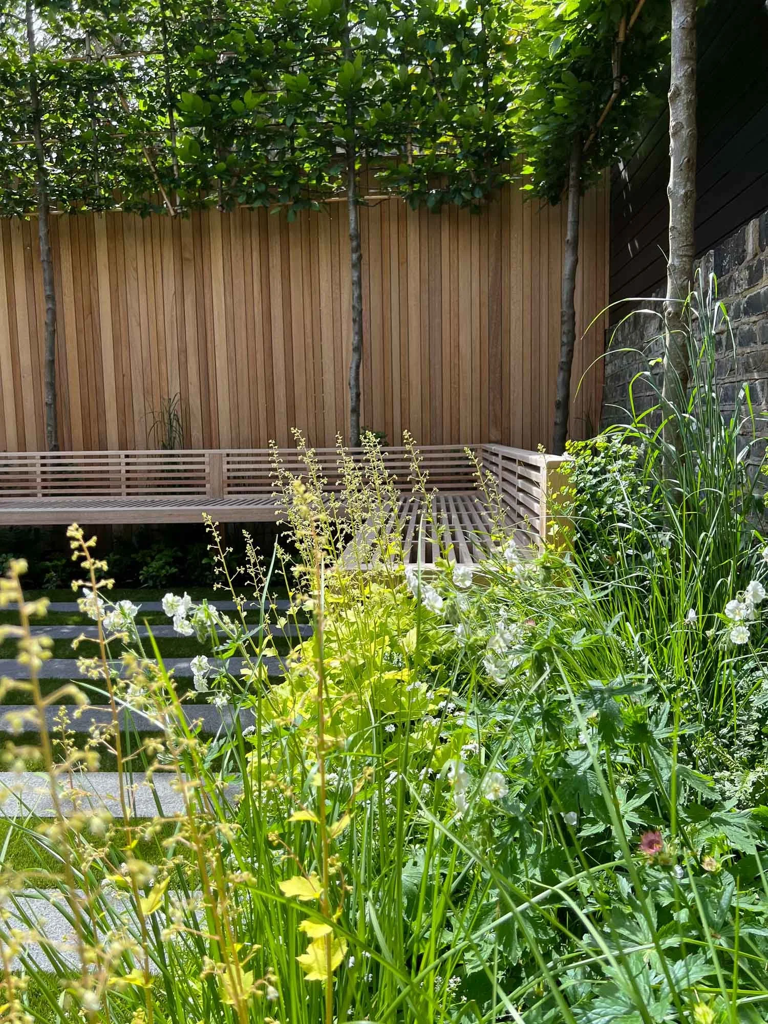 Garden corner with a wooden bench, lush green plants, tall grasses, and flowering plants against a background of a wooden fence and trees.