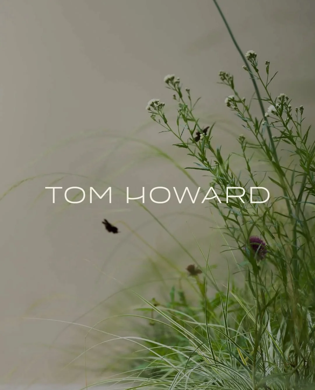 Happy New Year! 
During the latter half of 2025, we began the long-overdue process of refreshing our brand and creating an entirely new website. It was something we had postponed for quite some time, and to be honest, the scale of it felt daunting. 
