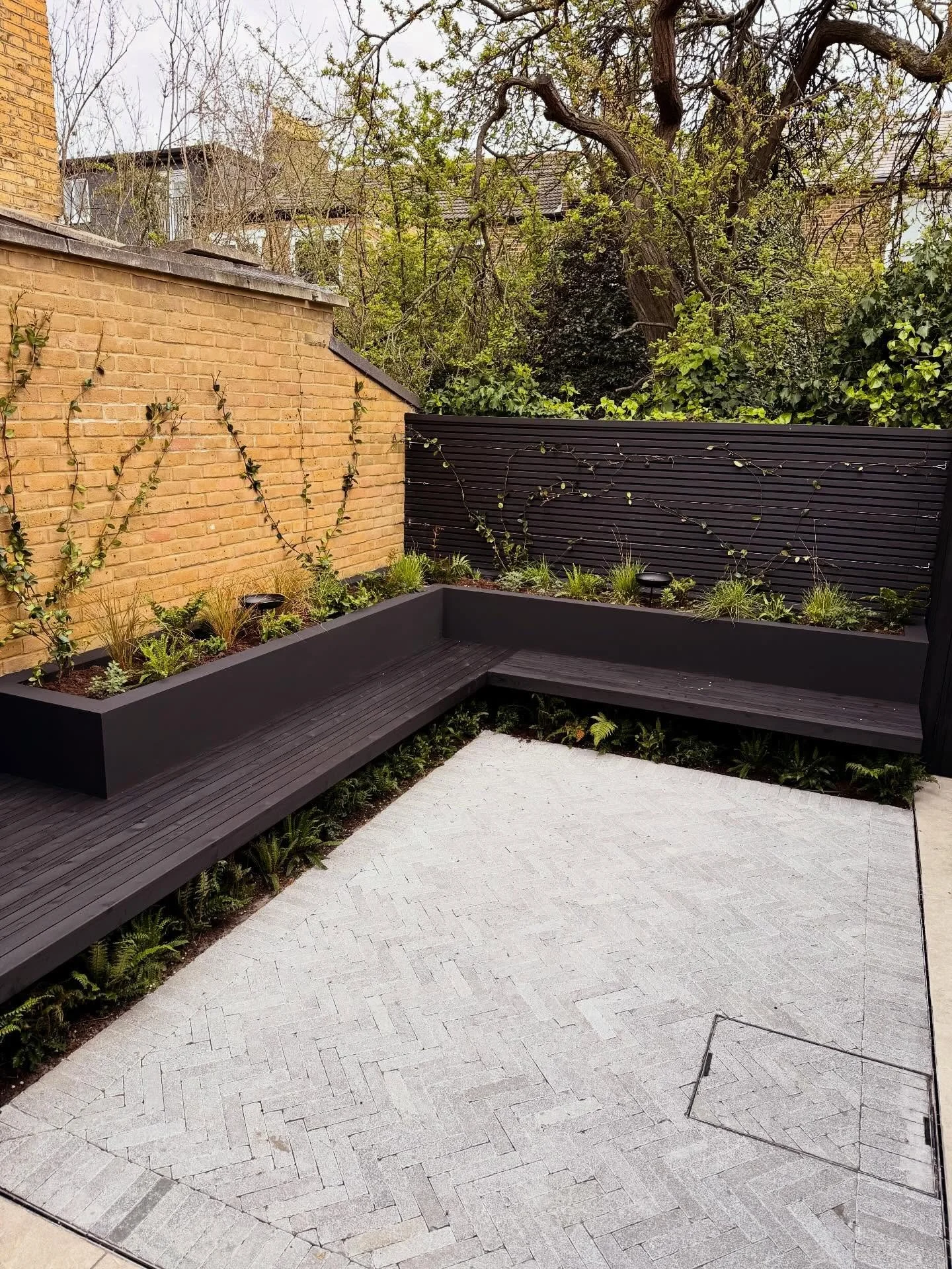 A tiny courtyard garden we have just finished in Peckham.  Andrei R and Grigore did well working in such a small space and turned a square of concrete in to something much more inviting. Just planted and looking forward to seeing it all much greener 