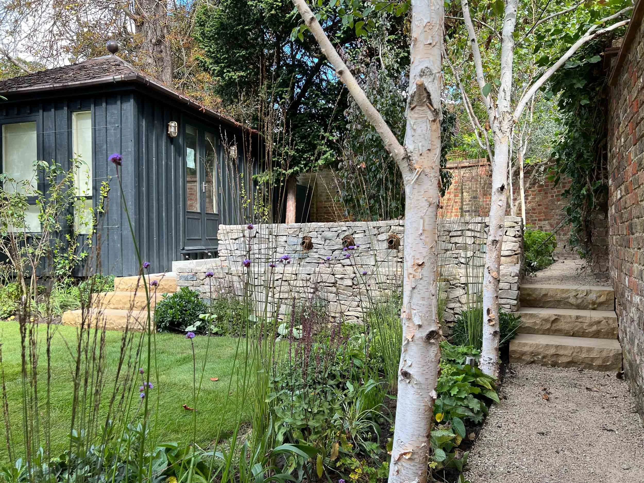 A backyard garden with a modern black shed, a stone retaining wall, a staircase, and trees with white bark.