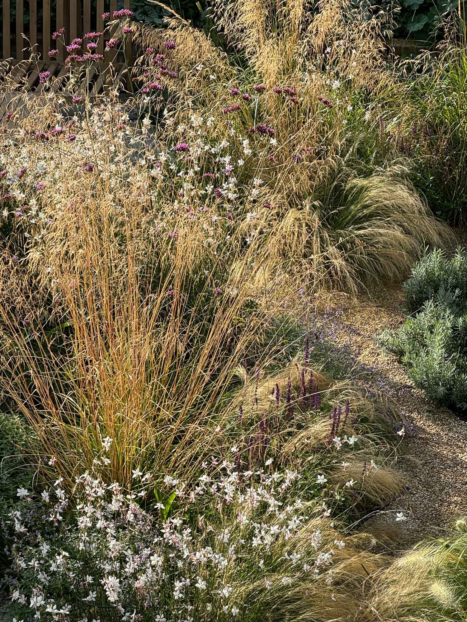 A garden path lined with ornamental grasses and flowering plants, including white, purple, and pink blooms.
