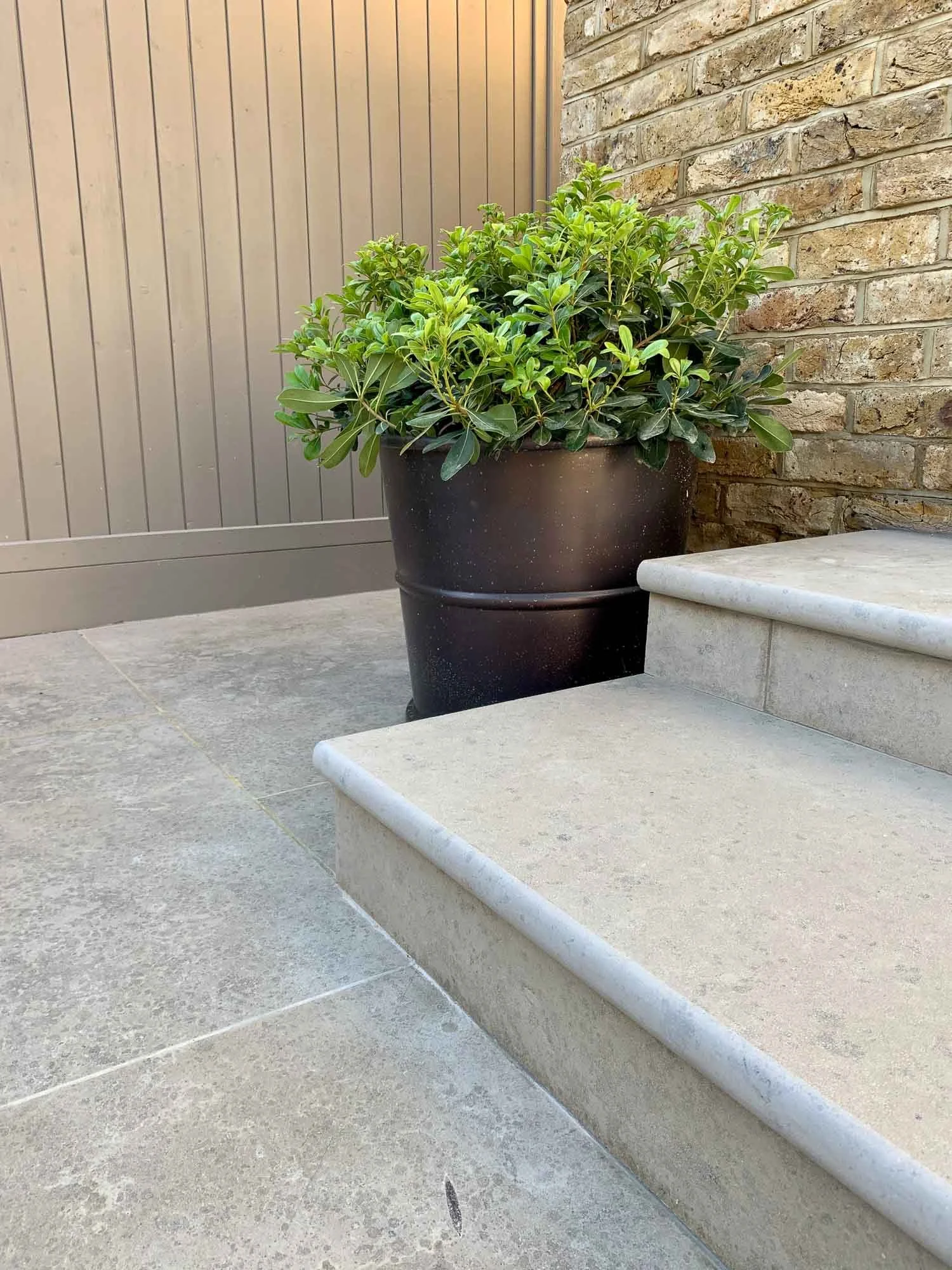 A potted green shrub next to outdoor steps with brick and wooden fencing in the background.