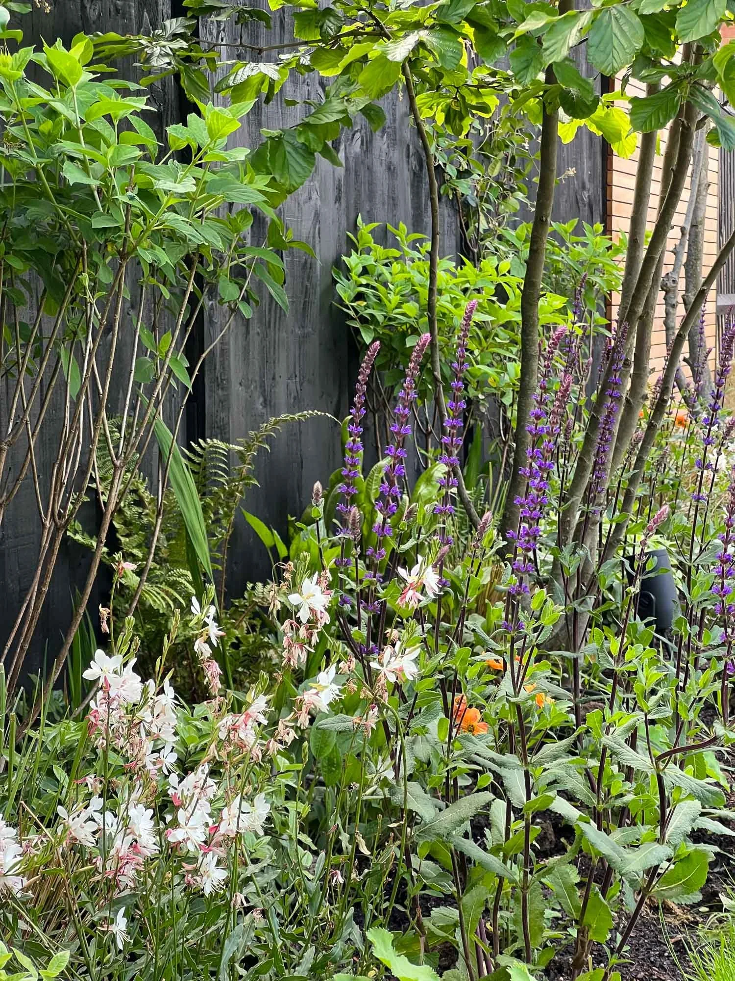 A lush garden with various green plants and purple, white, and orange flowering plants growing near a dark wooden fence.
