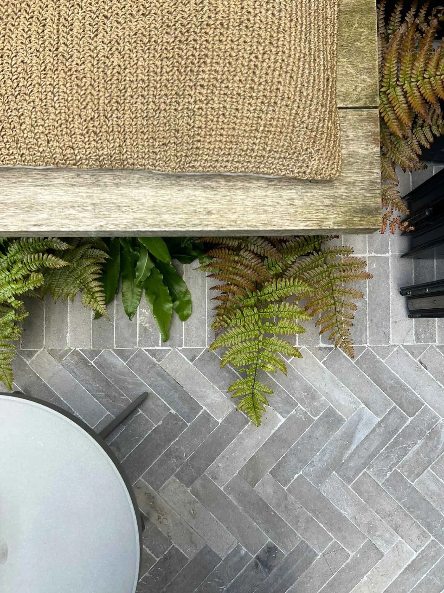 Part of an indoor space showing a wooden surface with a brown woven mat, various green plants, a round gray table with a black leg, and gray brick patterned flooring.