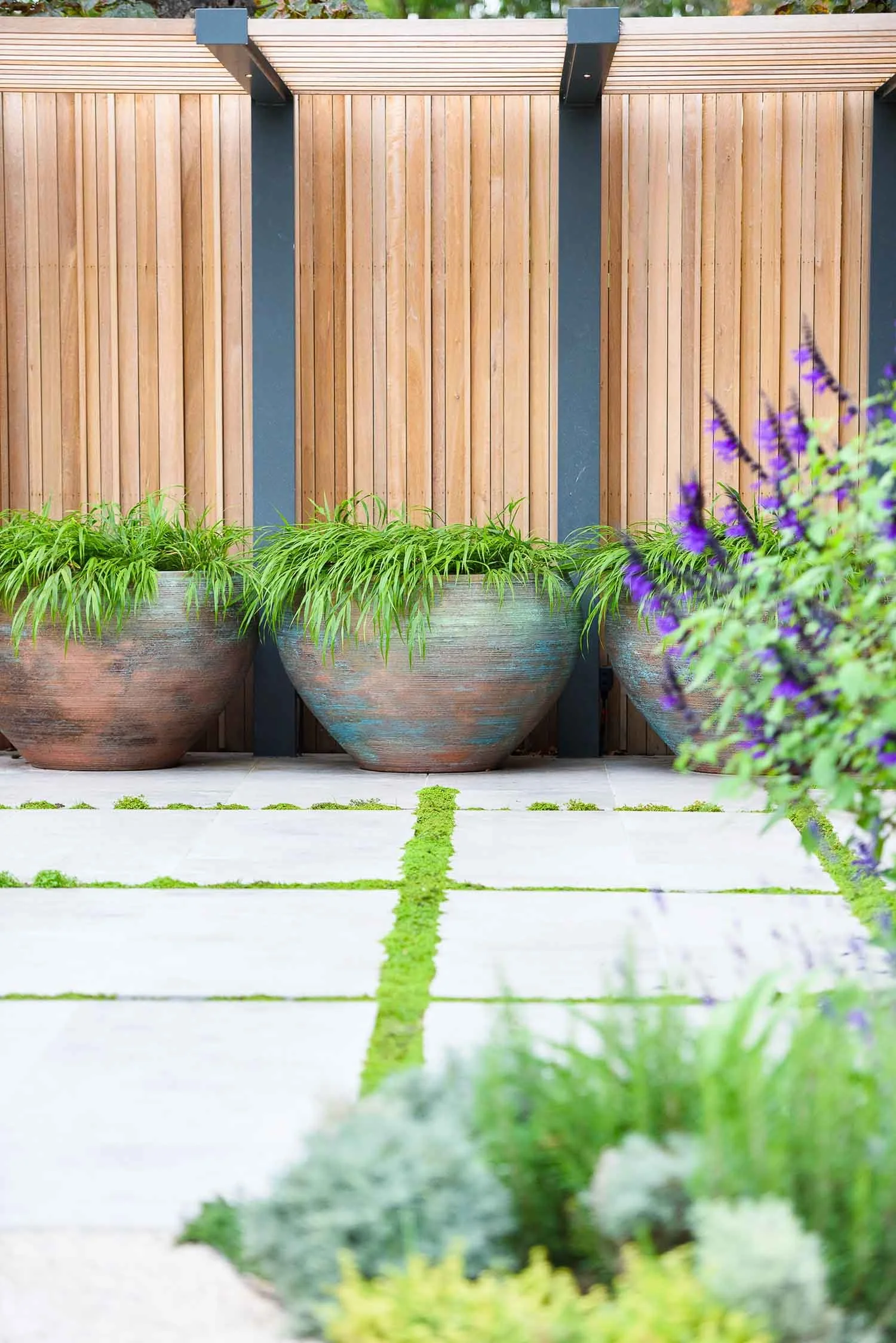 Contemporary garden planting with large ceramic pots and timber screening