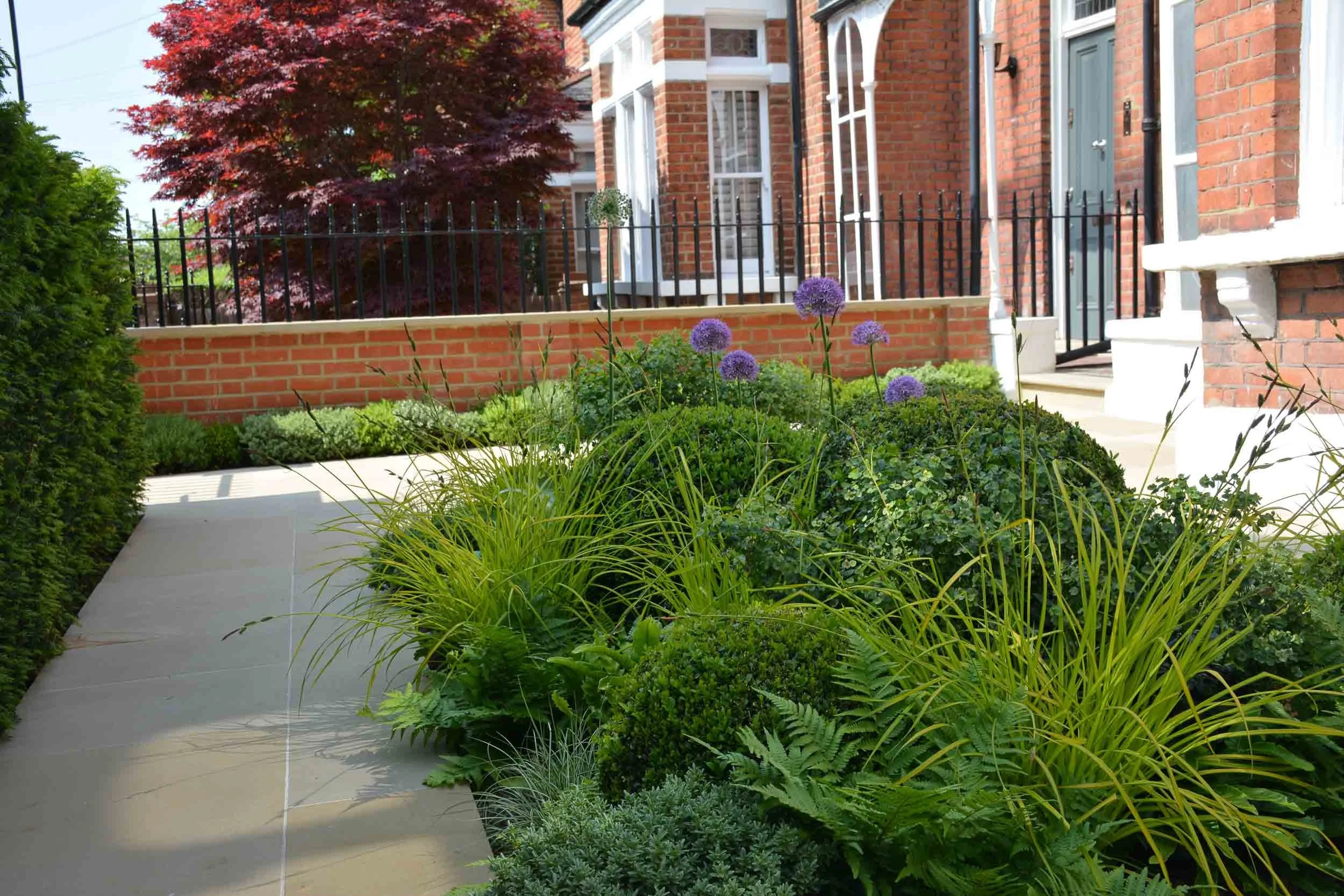 Front yard garden with green plants, purple flowers, and a sidewalk in front of a brick house with a porch and black fence.