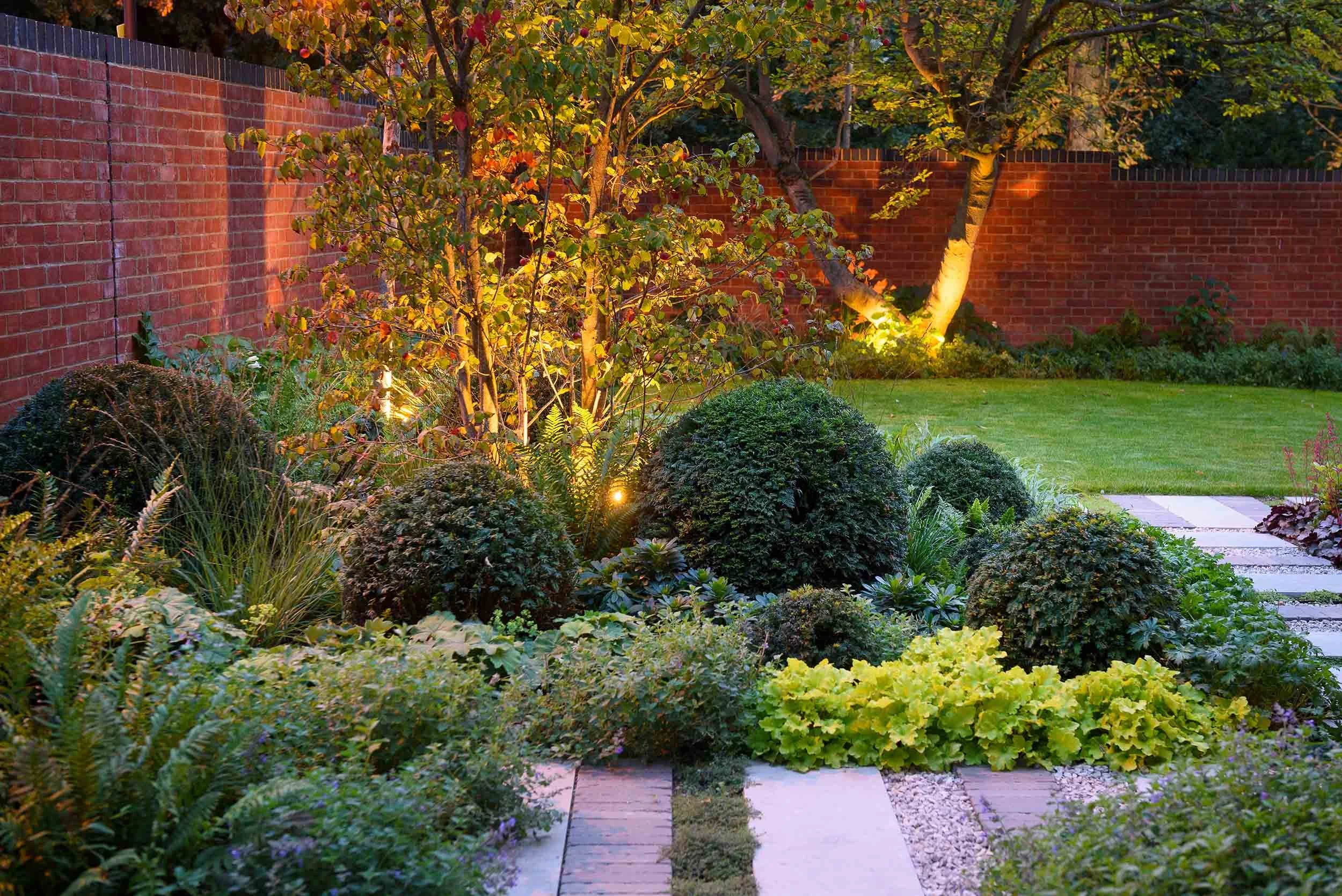 Evening garden lighting highlighting trees and shrubs in a landscaped garden