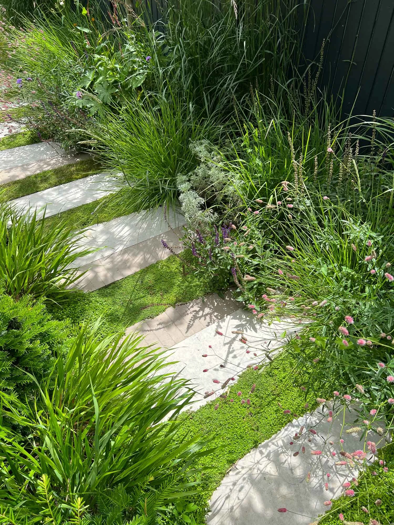 A garden with lush green plants, ornamental grasses, and pink flowers alongside stone and concrete stepping stones surrounded by moss and small plants.