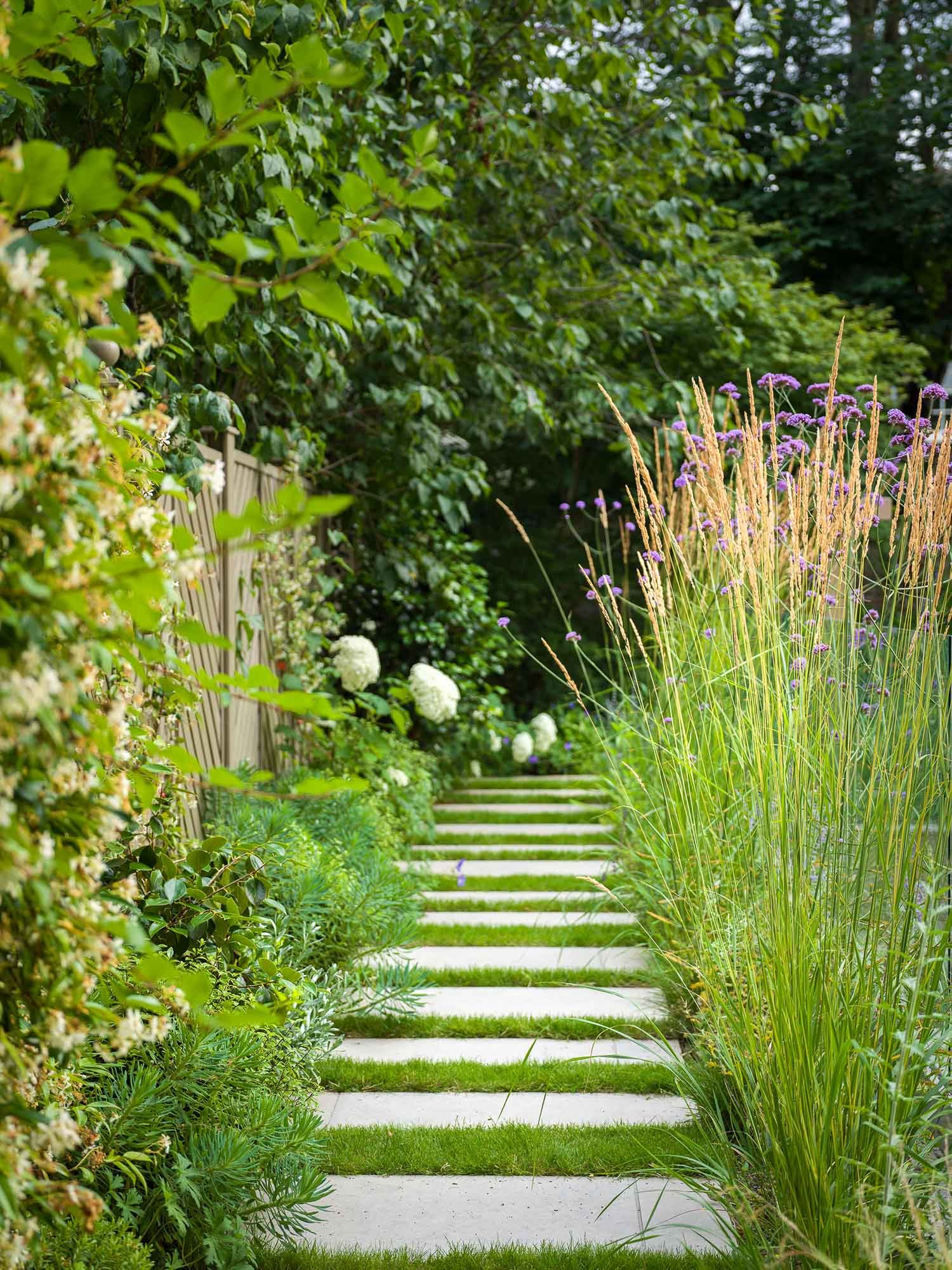 Vertical garden view showing a narrow stone path with stepping stones leading through dense green shrubs and trees