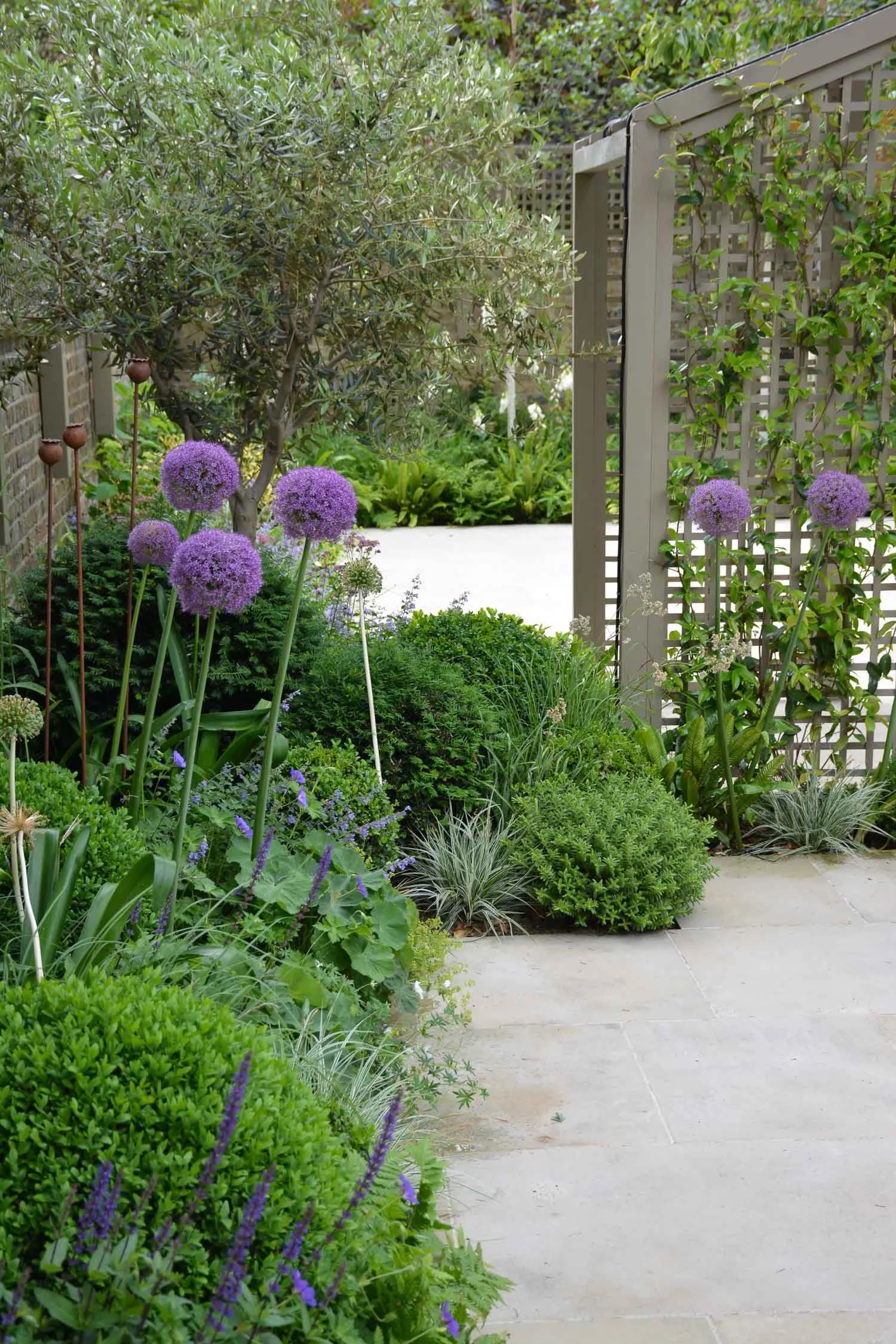 A garden with purple allium flowers, green shrubs, and a small tree next to a lattice fence over a stone patio.