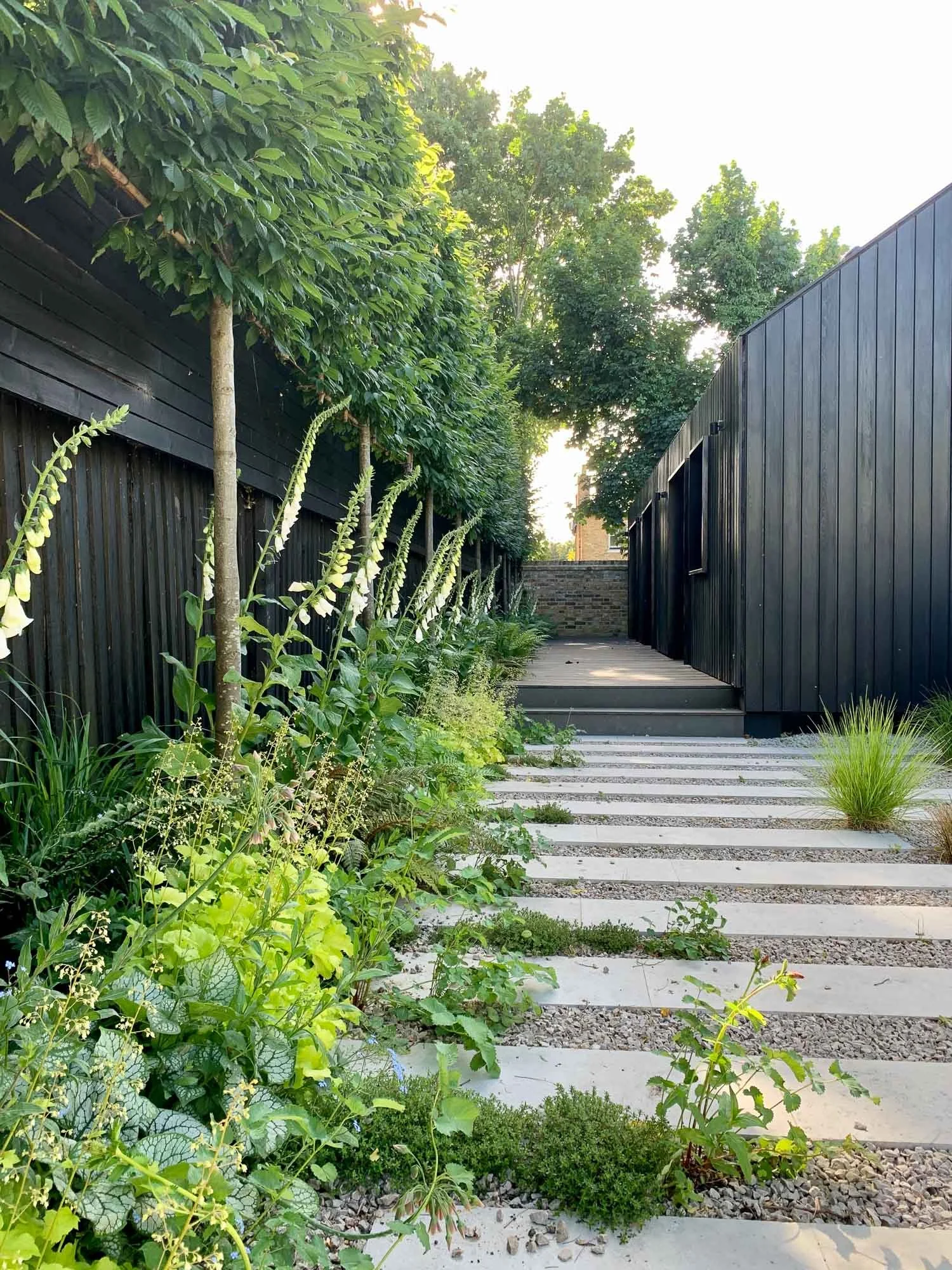 A modern outdoor garden pathway with narrow rectangular white stepping stones, planted with various green plants and grasses, flanked by black wooden fences and trees, leading to a small staircase and a brick wall in the background.