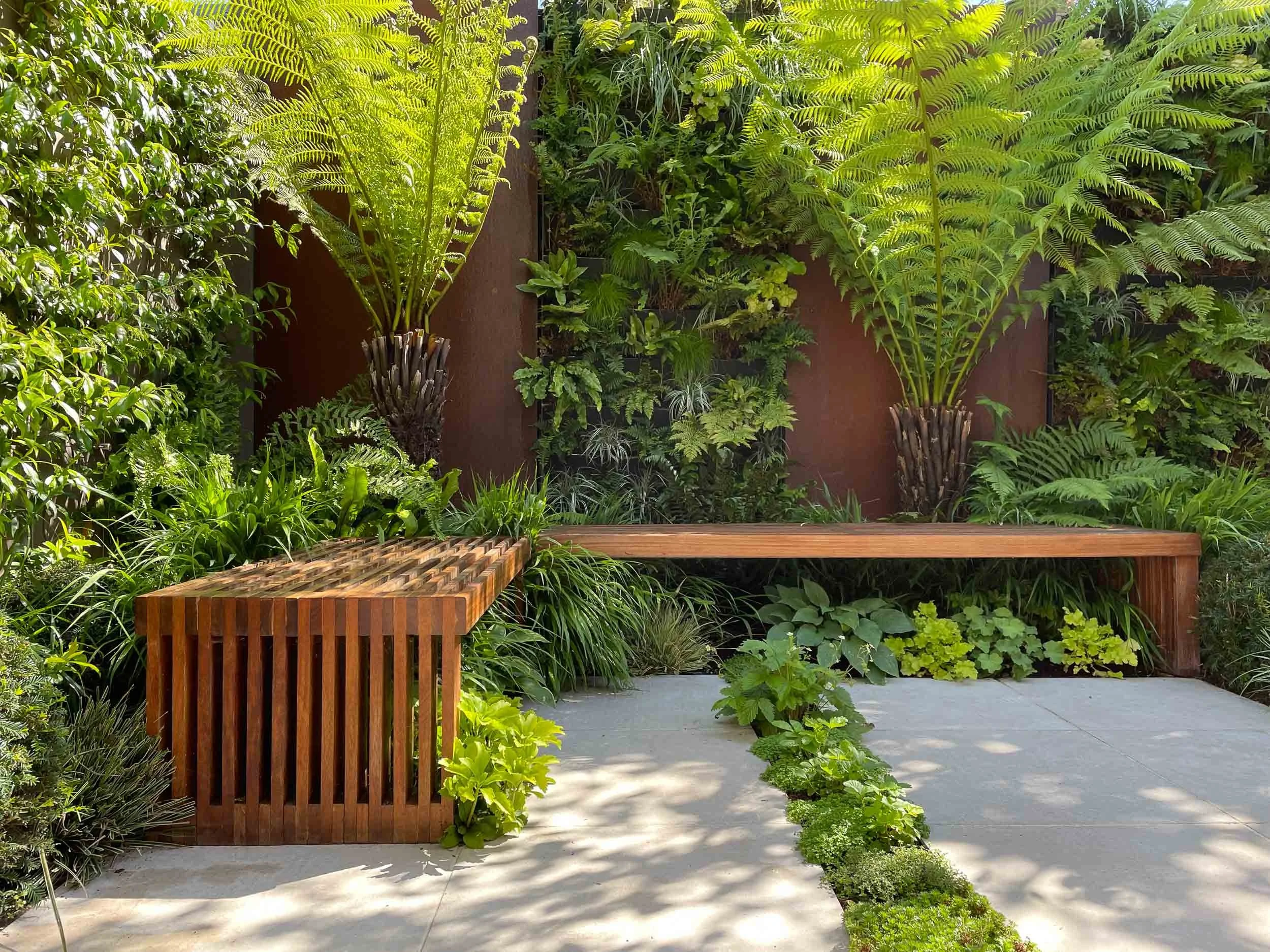 Modern outdoor garden seating area with a wooden bench and lush green plants, including ferns and decorative shrubbery, surrounded by a concrete patio.