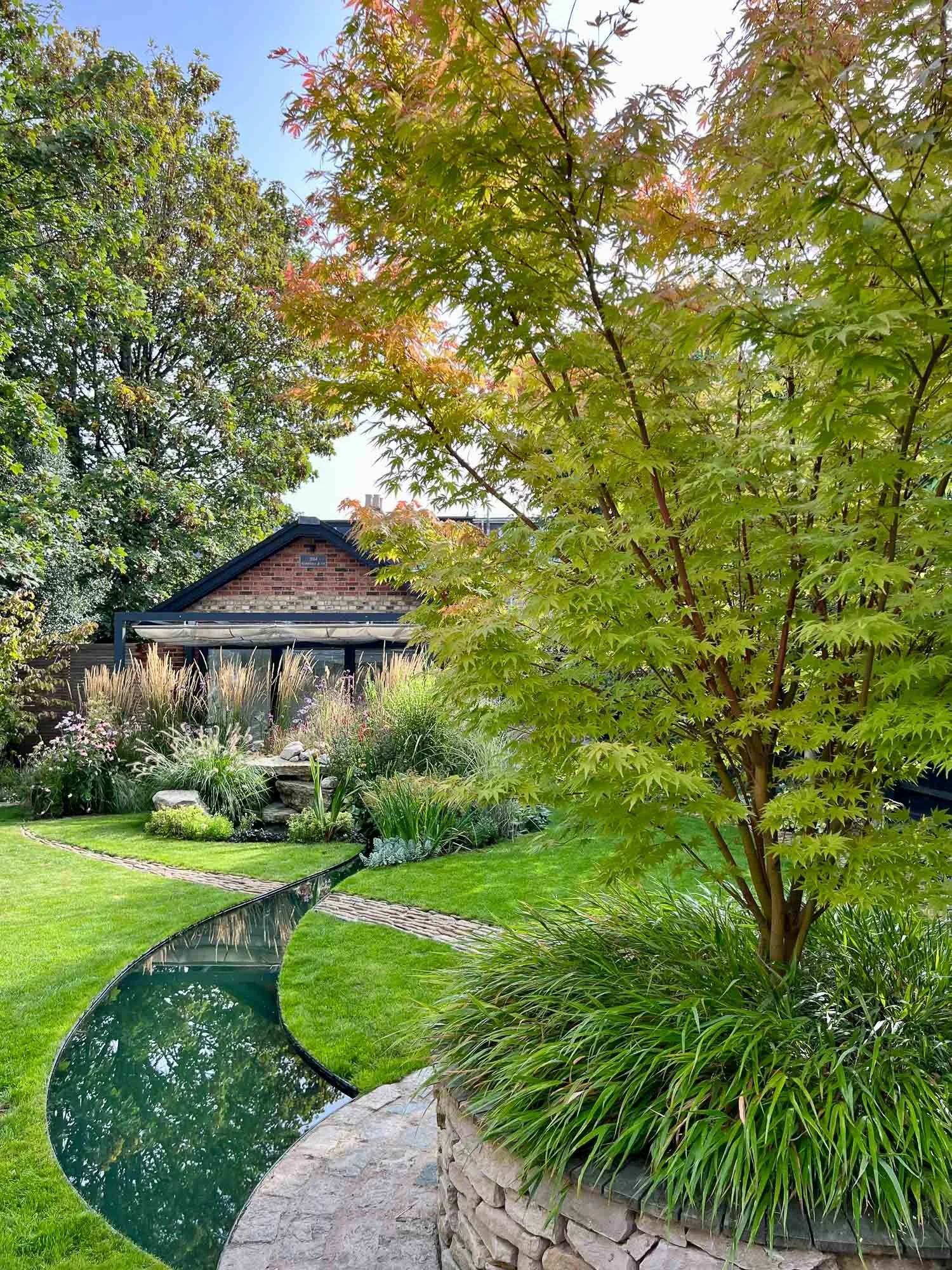 Narrow curved water rill cutting through a green lawn towards a stone water feature and vibrant Japanese maple