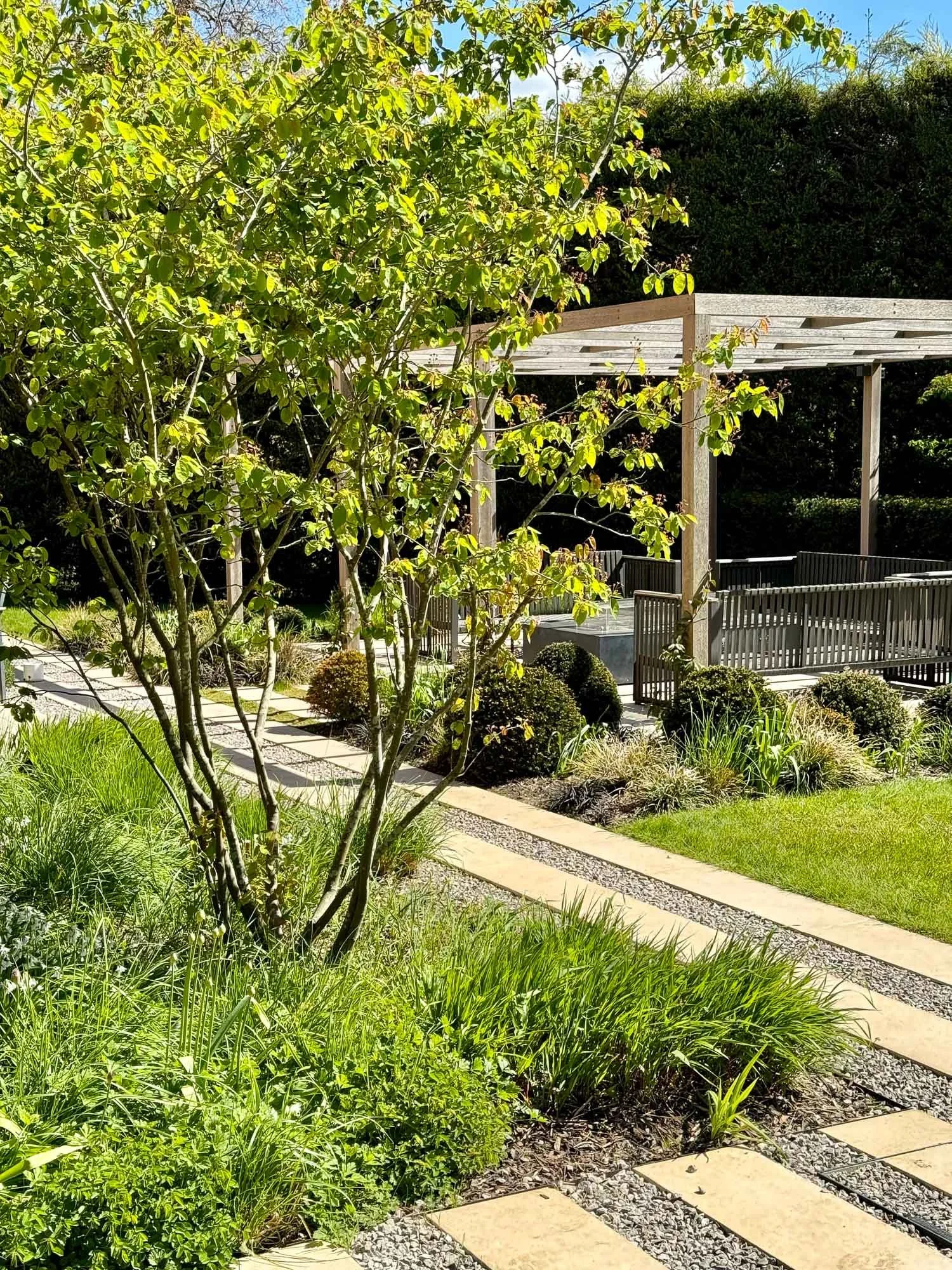 A landscaped garden with a tree, a stone pathway, green grass, bushes, and a wooden pergola in the background.
