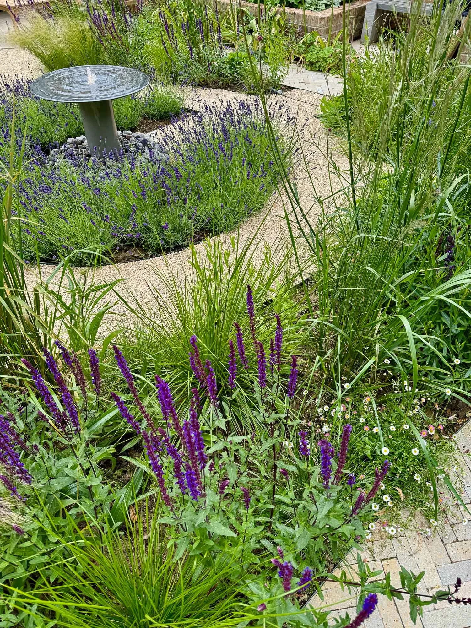 A garden with a stone pathway, purple flowering plants, green grasses, and a decorative water fountain with a circular basin.