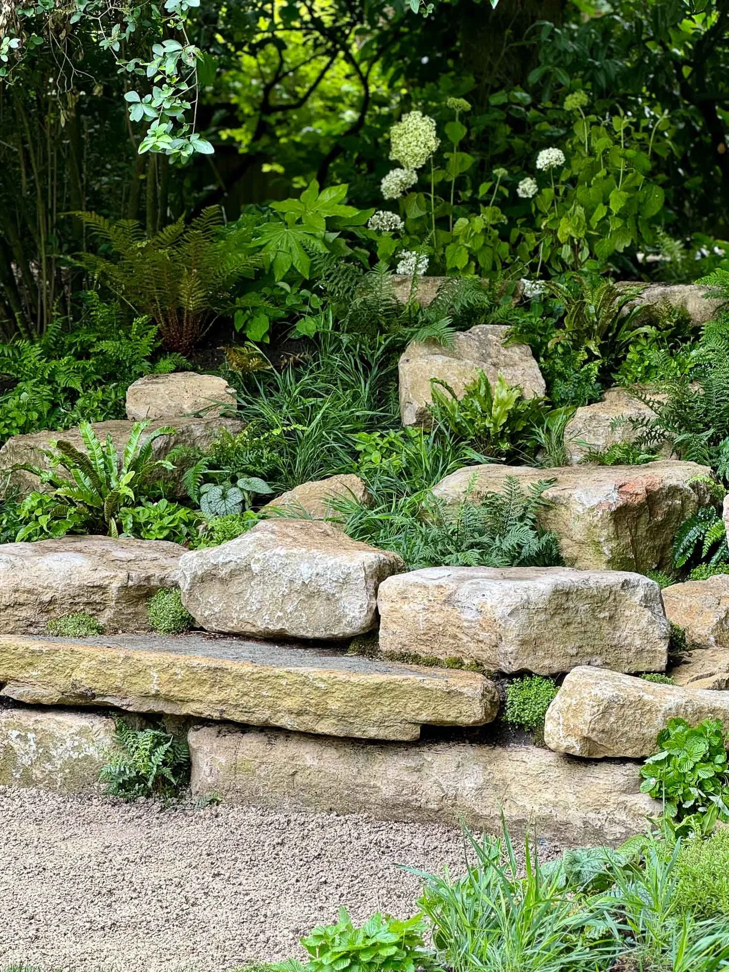 A garden with large rocks, lush green plants, ferns, and white flowering plants in the background.