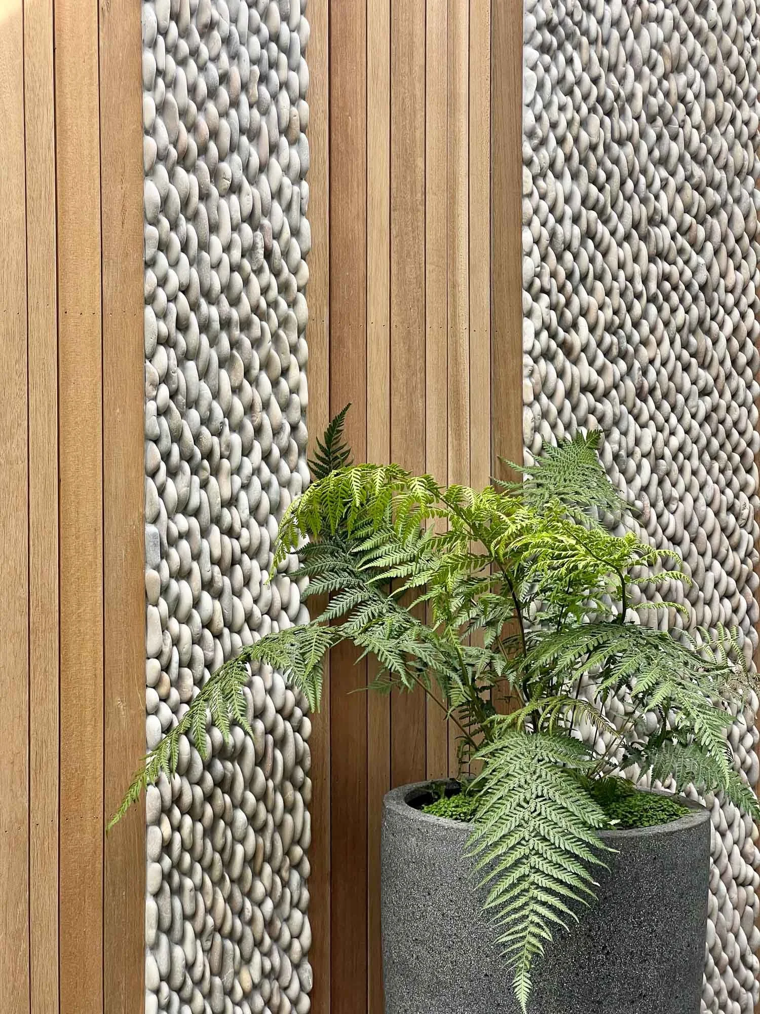 A potted fern plant with green fronds placed against a wall decorated with vertical wooden planks and rows of small, smooth, light gray pebbles.