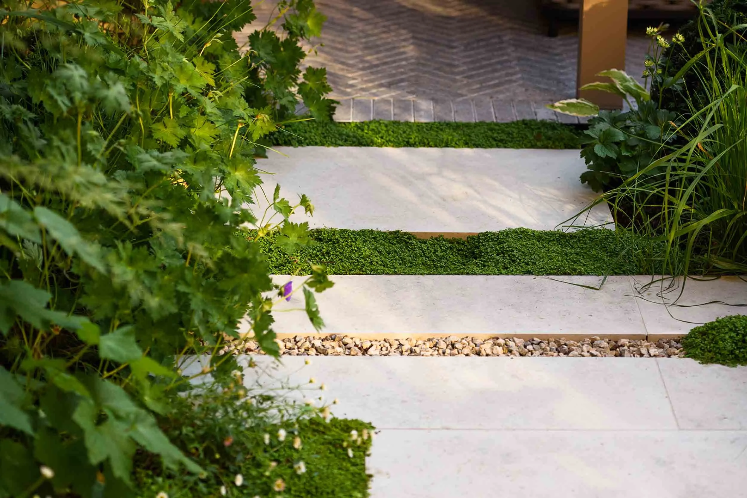 Close-up of pale stone stepping stones in the garden, with creeping green plants between the slabs and a small gravel border