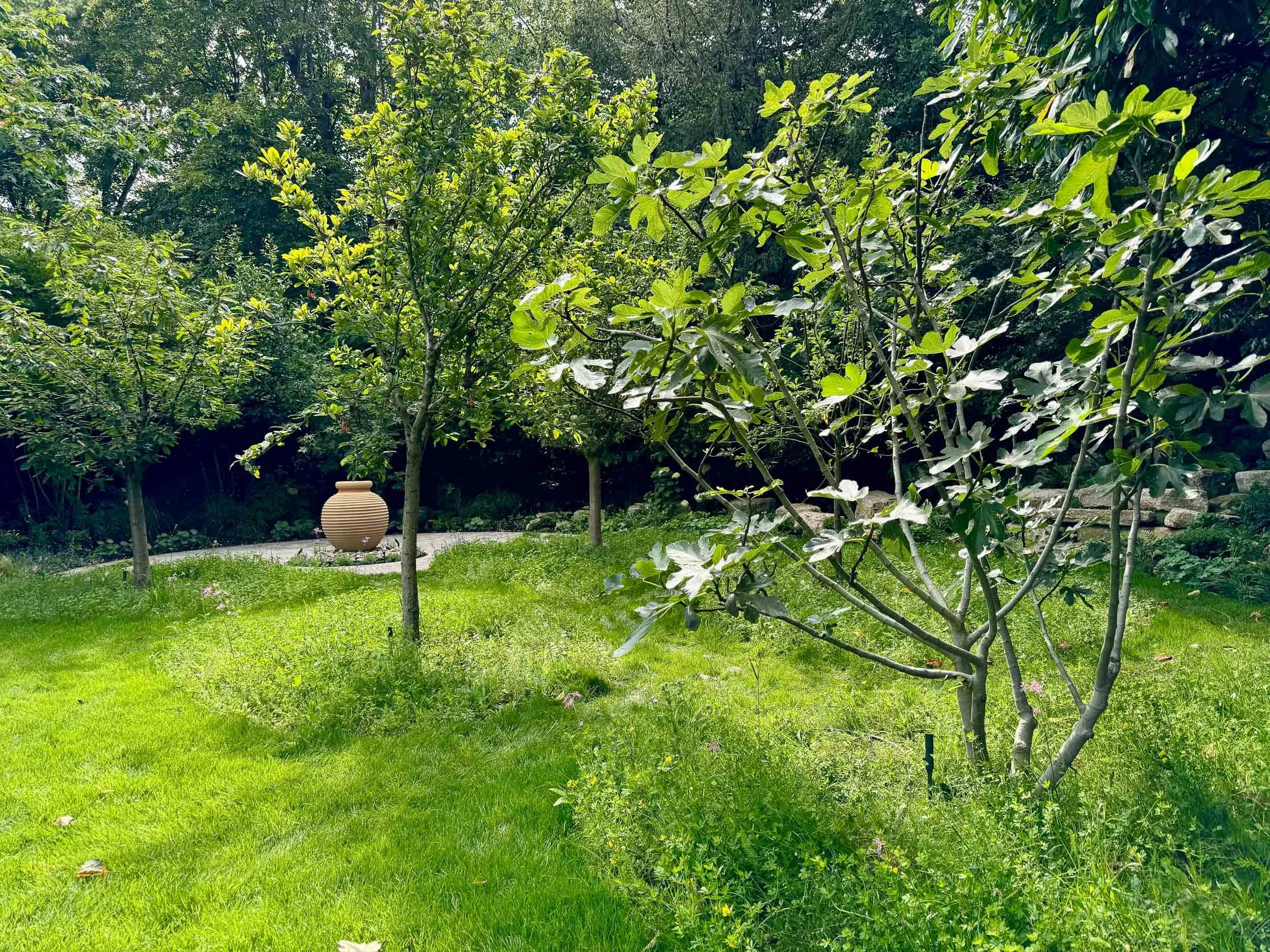Lush backyard garden with multiple green trees, well-maintained grass, and a decorative clay pot on a stone pathway.