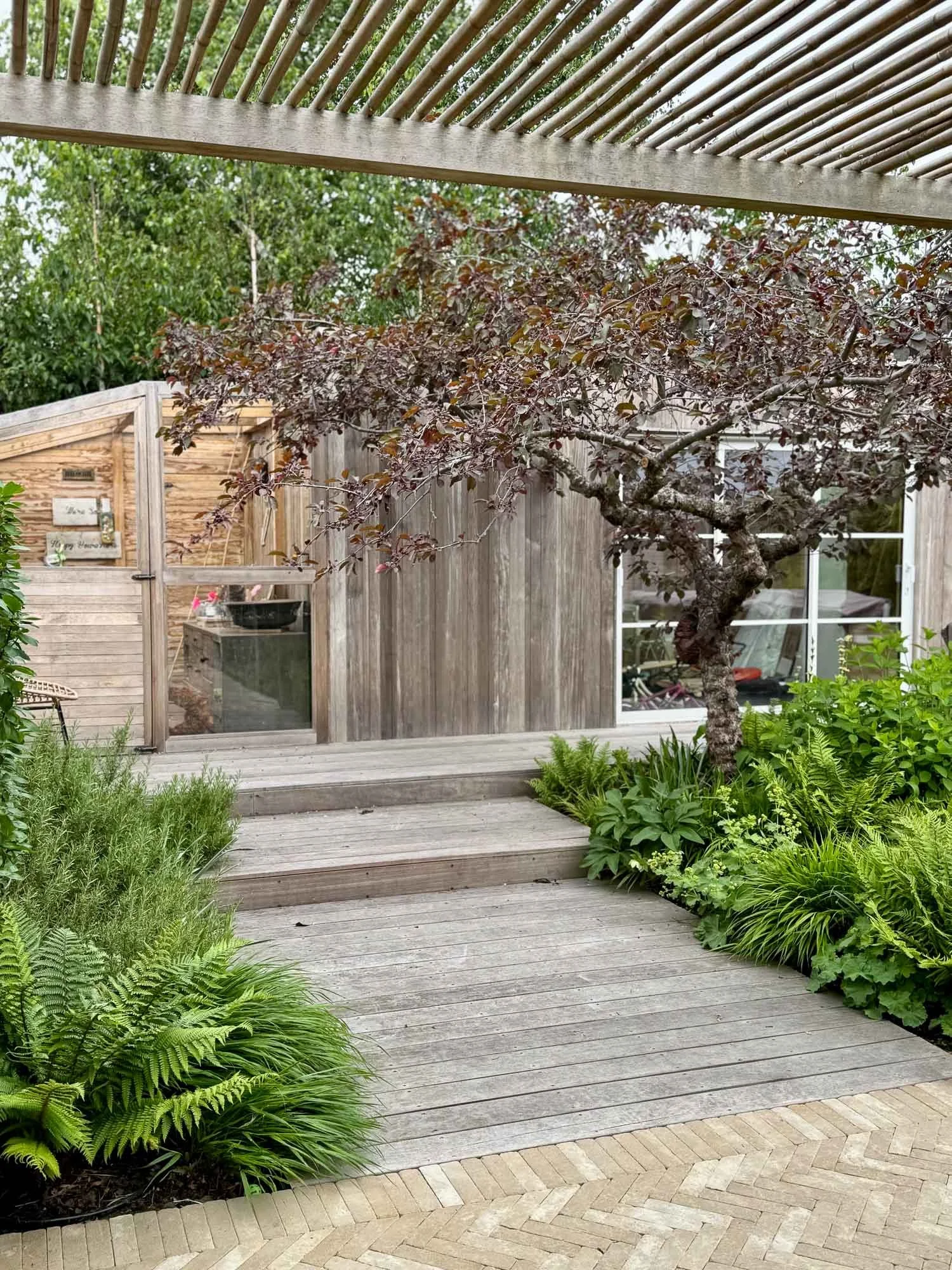 Backyard garden with wooden decking, a purple-leafed tree, lush green plants, and a wooden shed with a sliding glass door.