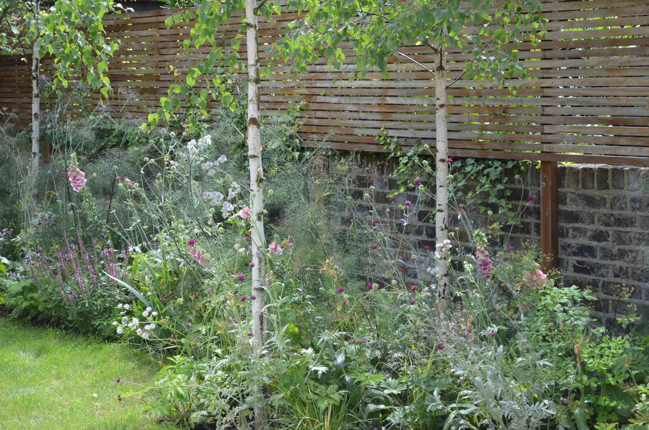A lush garden with various flowering plants, including tall pink and purple flowers, and small trees with green leaves, backed by a wooden fence and brick wall.
