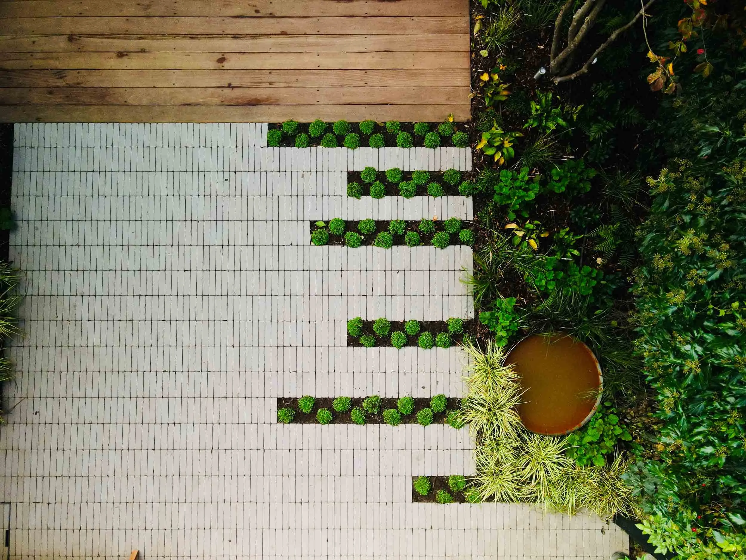 A small garden with a white brick pathway featuring decorative green plants, a large round water feature, and lush green shrubs and trees.