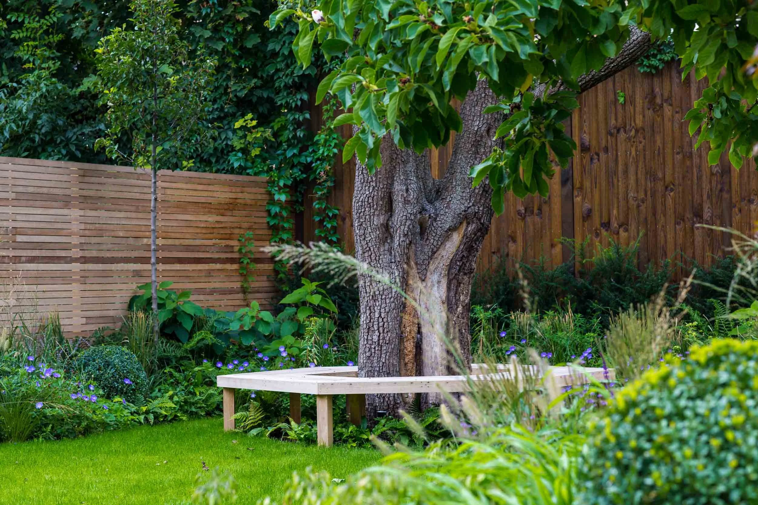 A backyard garden with a large tree, a wooden bench around the tree, green grass,, bushes, and a wooden fence in the background.