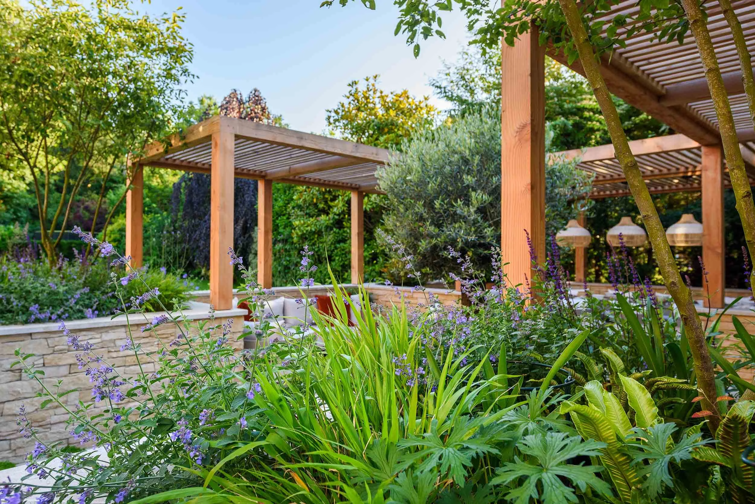 Detailed view of purple catmint flowers and green foliage in stone planters beside a contemporary wood pergola
