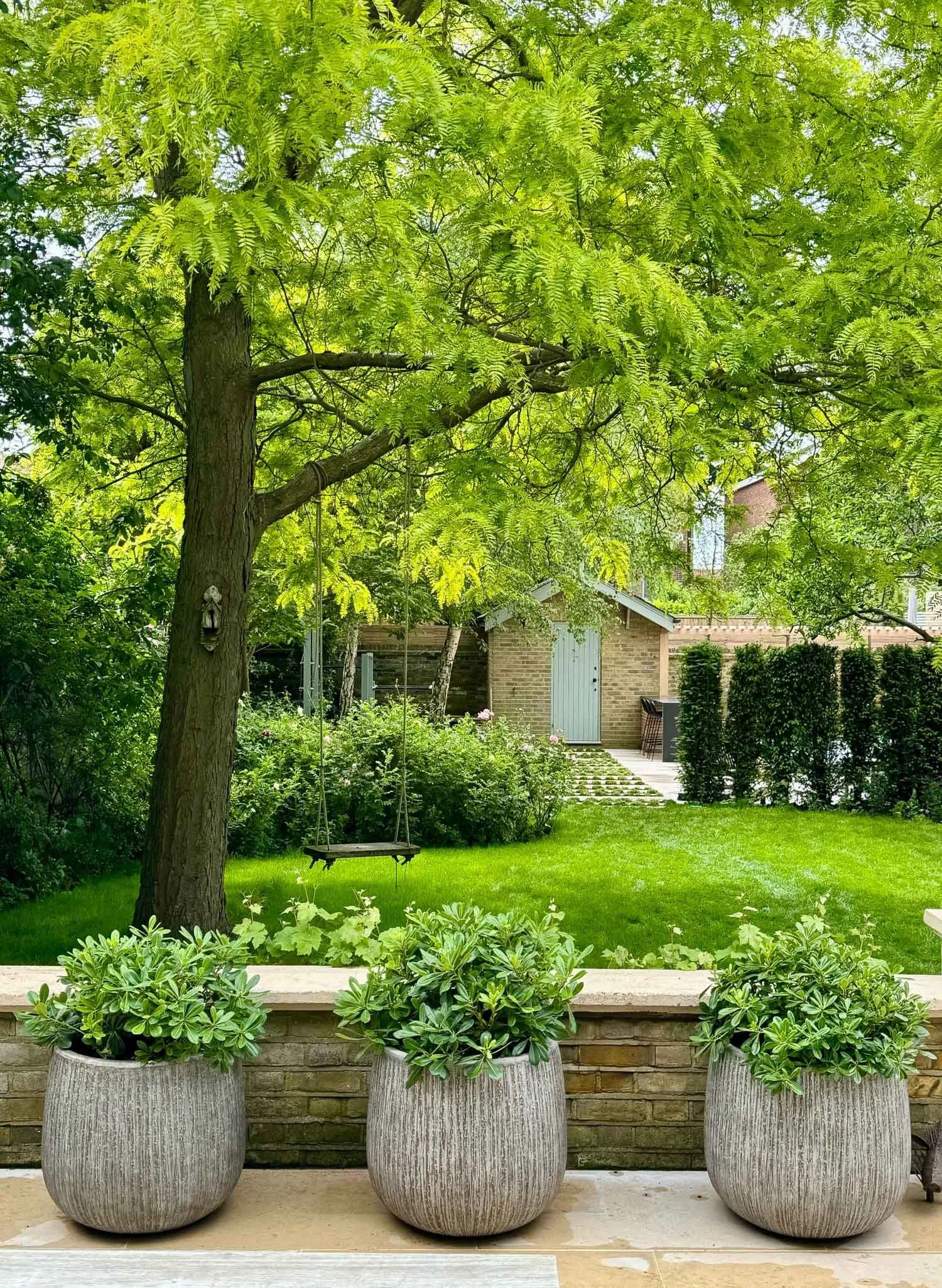 View of a lush green backyard with a large trees, a swing hanging from a branch, potted plants on a ledge in the foreground, and a small brick shed in the background.