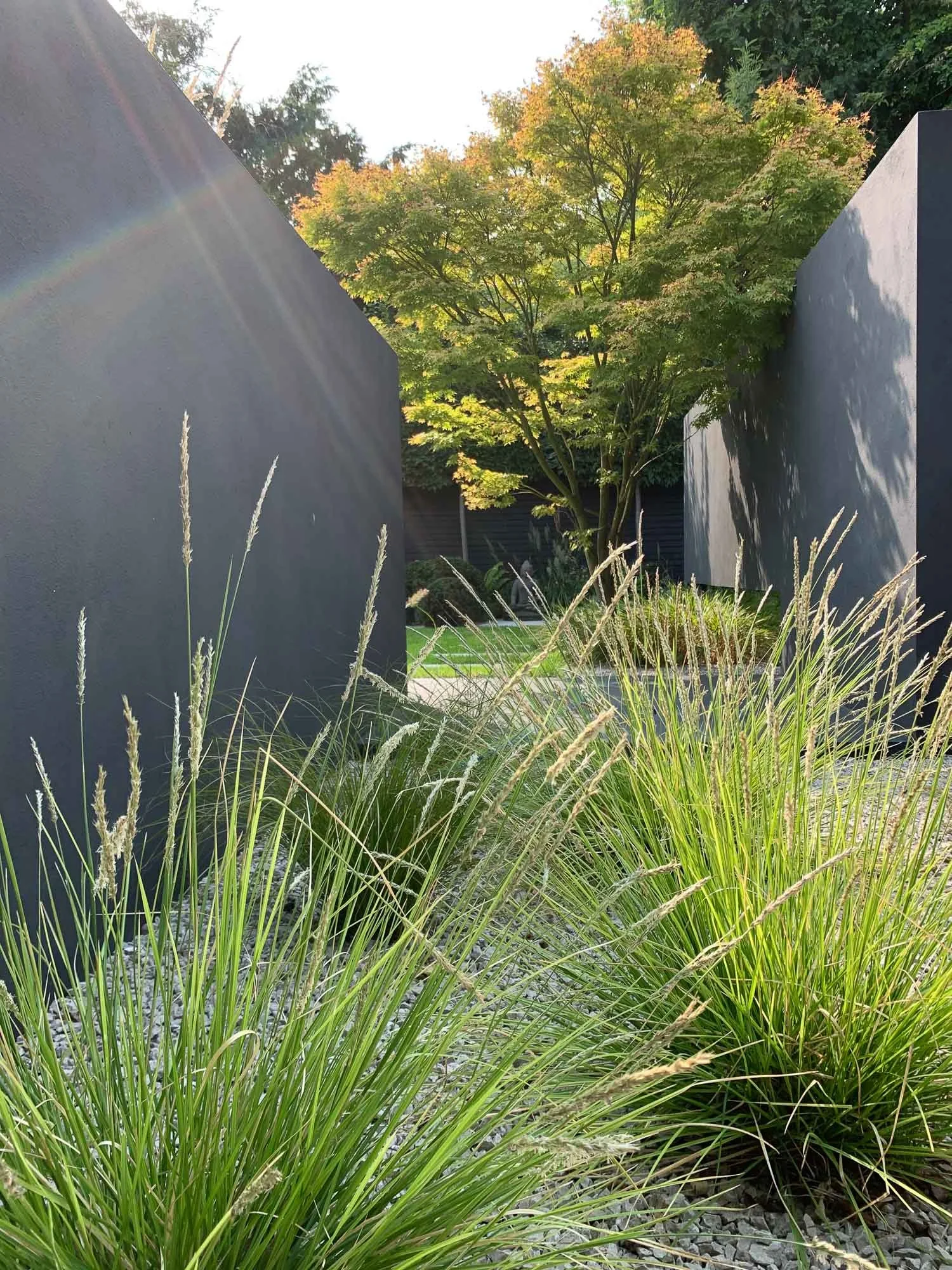 A landscaped garden with tall green grass in the foreground, large black walls on either side, a deciduous tree with green and orange leaves in the background, and sunlight creating a lens flare.