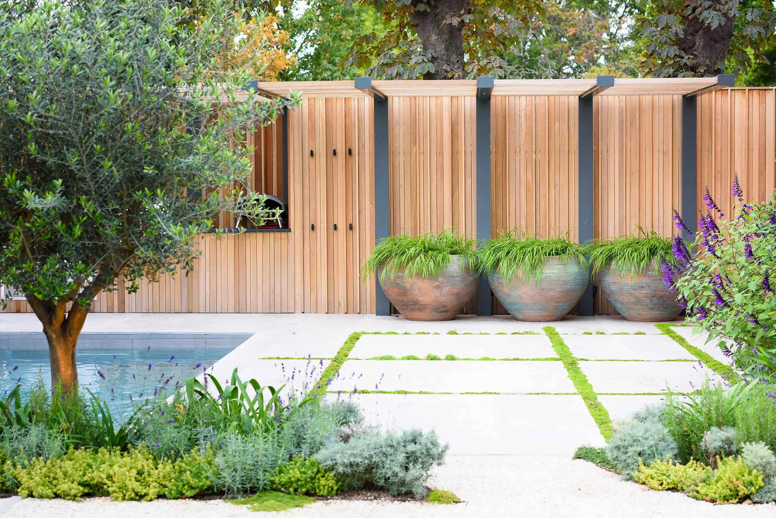 Contemporary garden with a small pool, olive tree, three large copper-toned planters of ornamental grass, and a slatted wooden fence backdrop