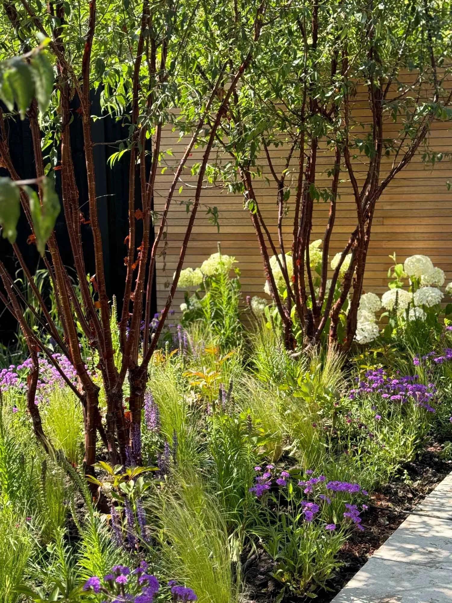 A garden with tall trees, green foliage, white flowering plants, purple flowers, and a concrete pathway on the right side.