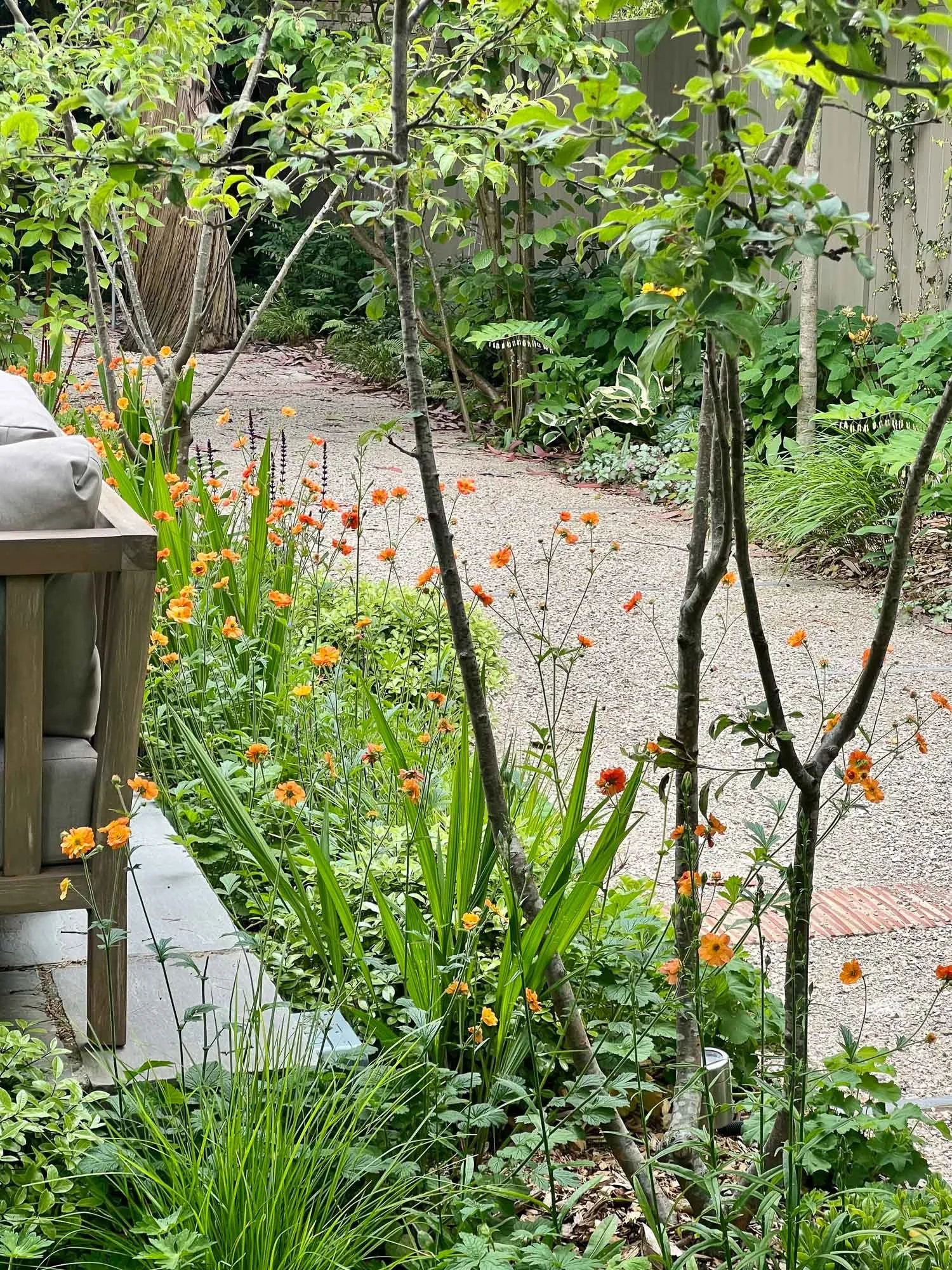 A garden with a gravel pathway surrounded by lush green plants and orange flowers.